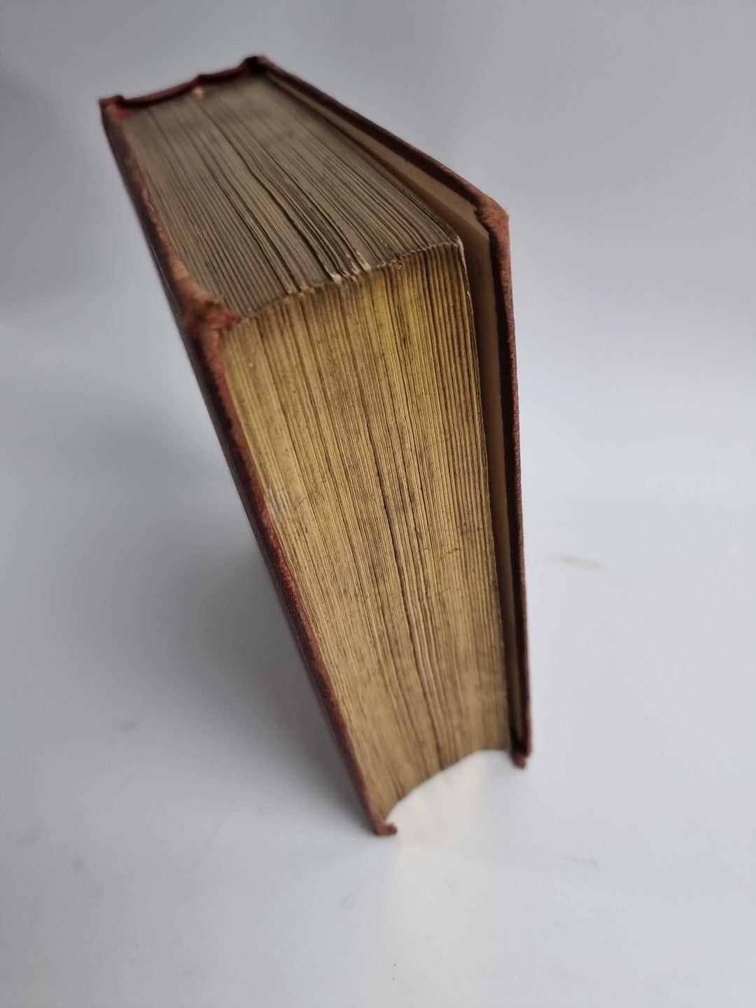 Routledge's Popular Natural History, Rev. J G Wood 1874,