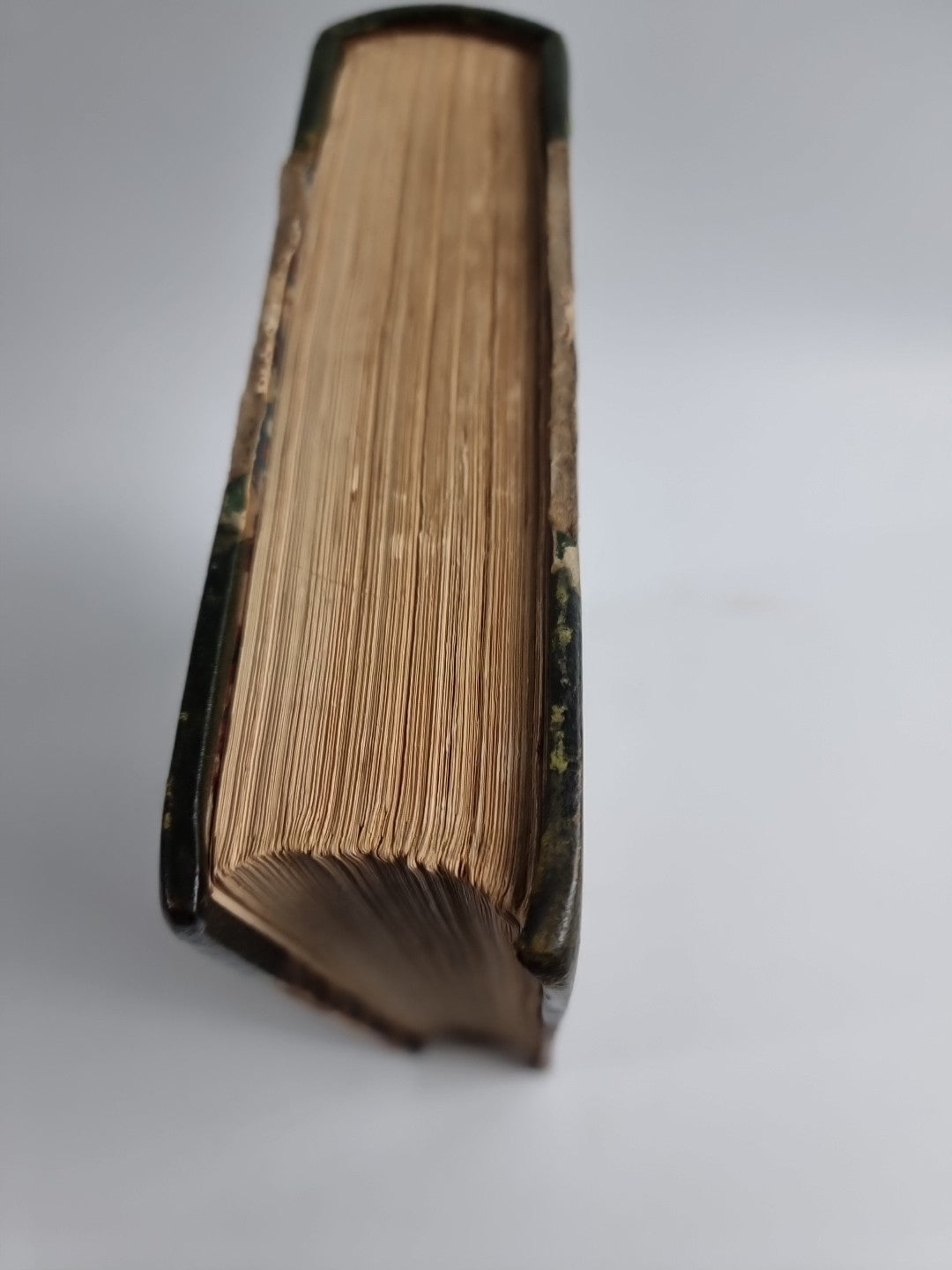 INDEX ENTOMOLOGICUS; or, A COMPLETE ILLUSTRATED CATALOGUE 1854