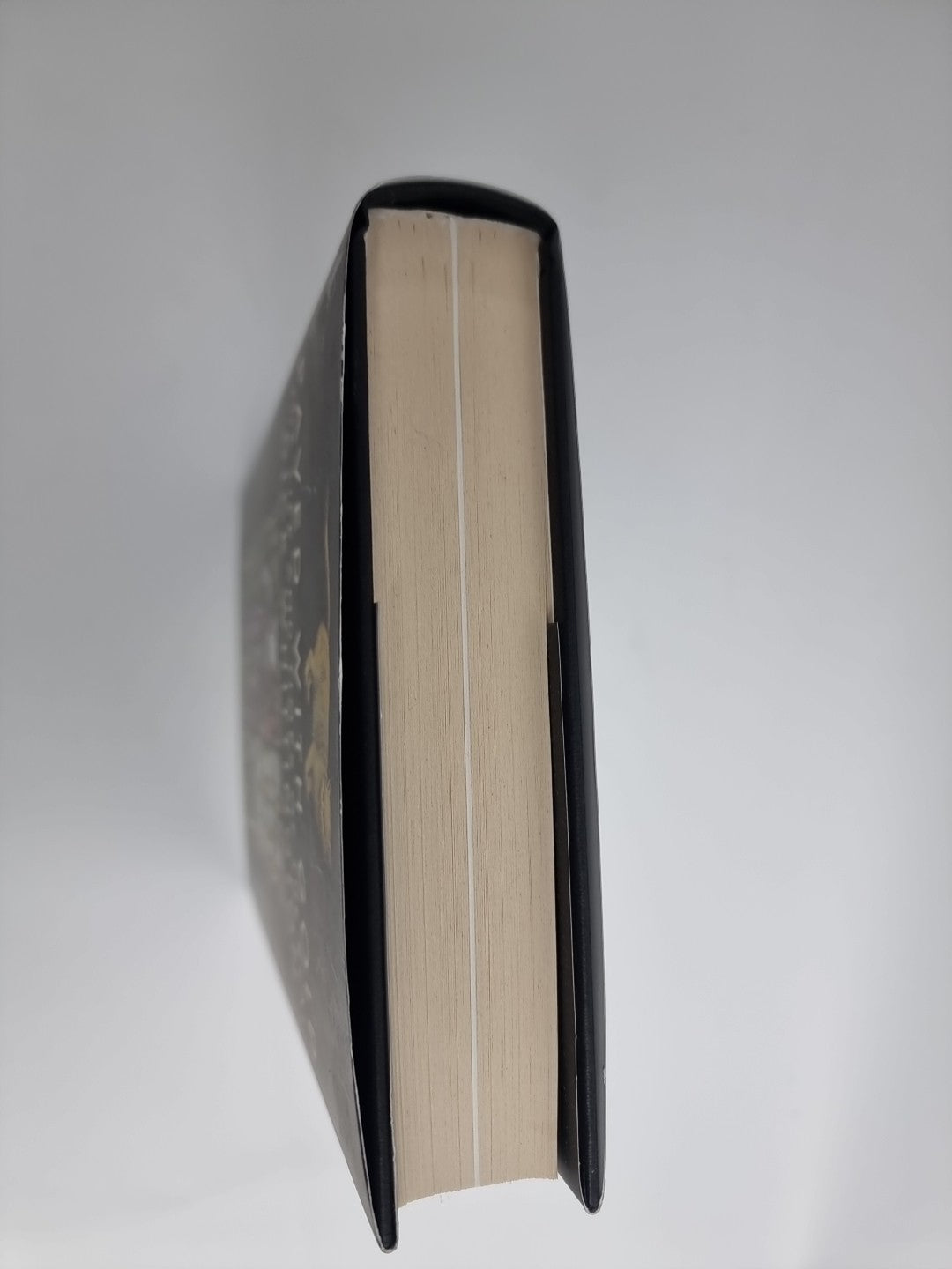 PAVED WITH GOLD - The Life and Times of the Real DICK WHITTINGTON Greg Holyoake