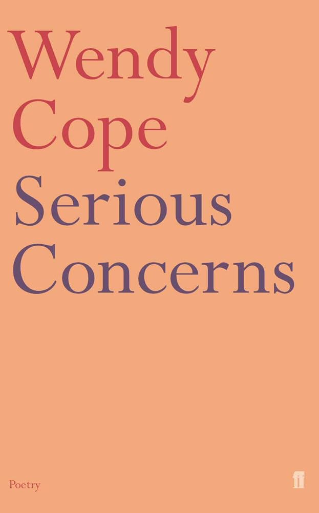 Serious Concerns cover image