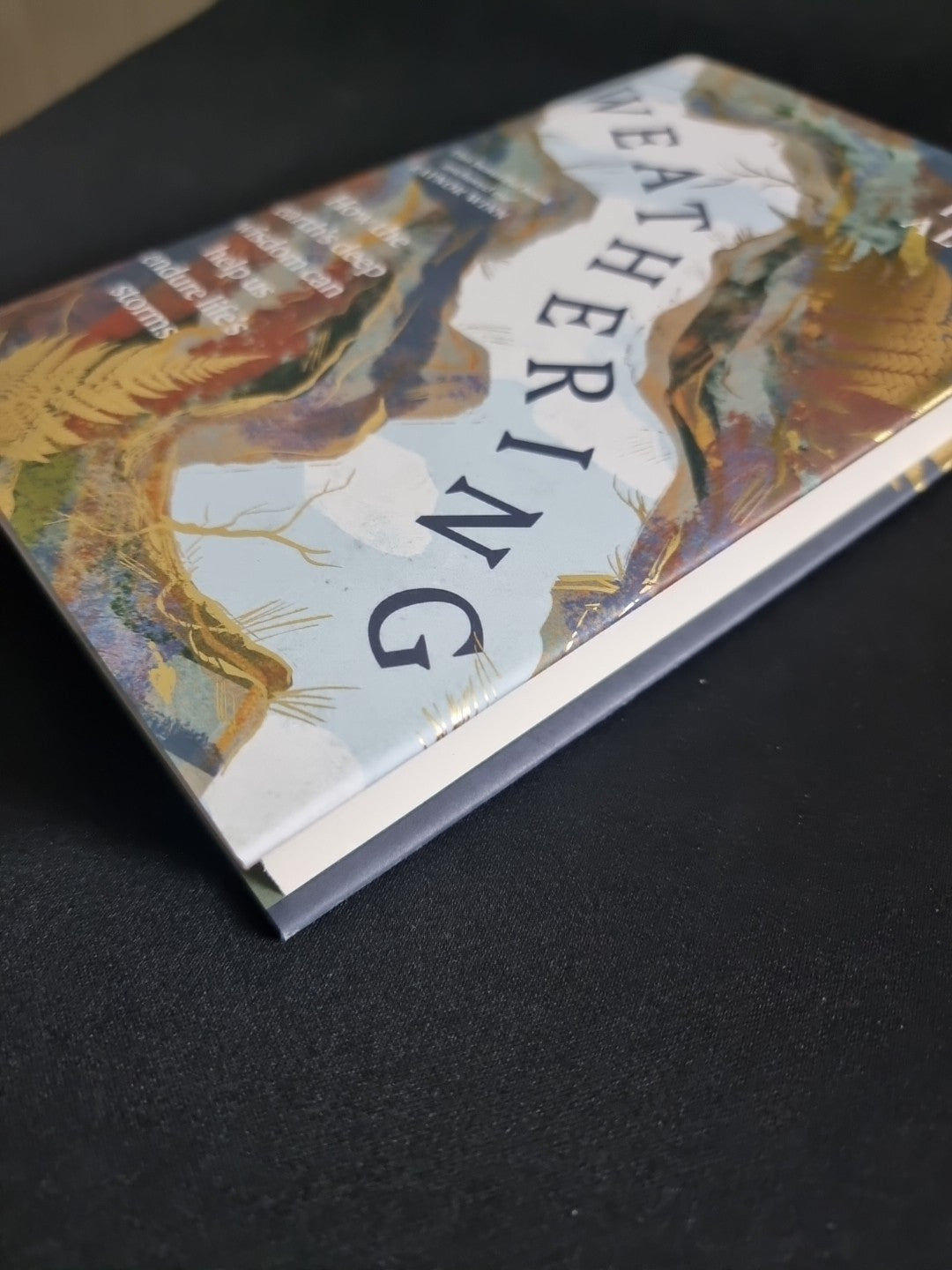 Weathering Ruth Allen