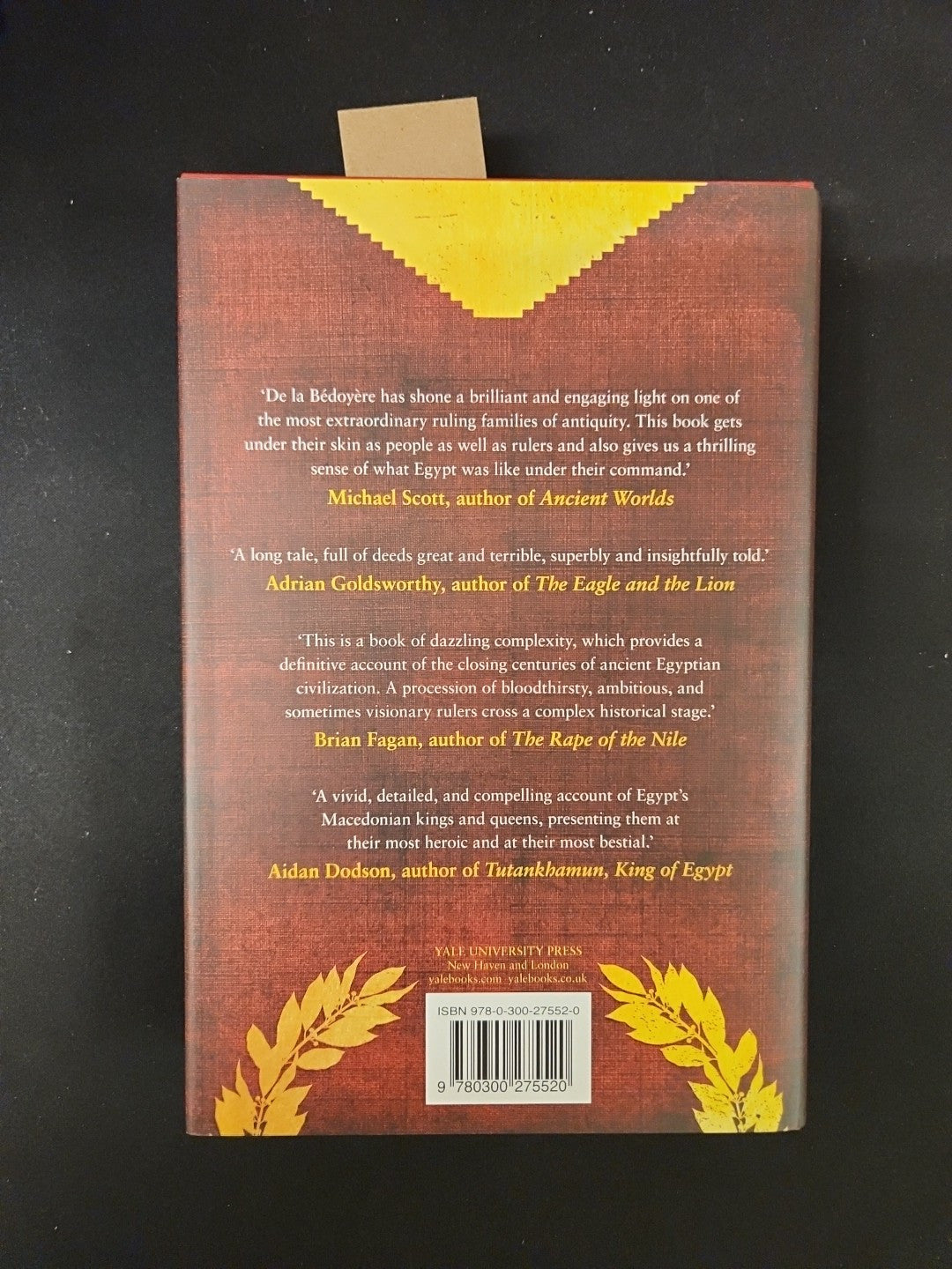 Fall of Egypt and the Rise of Rome : A History of the Ptolemies