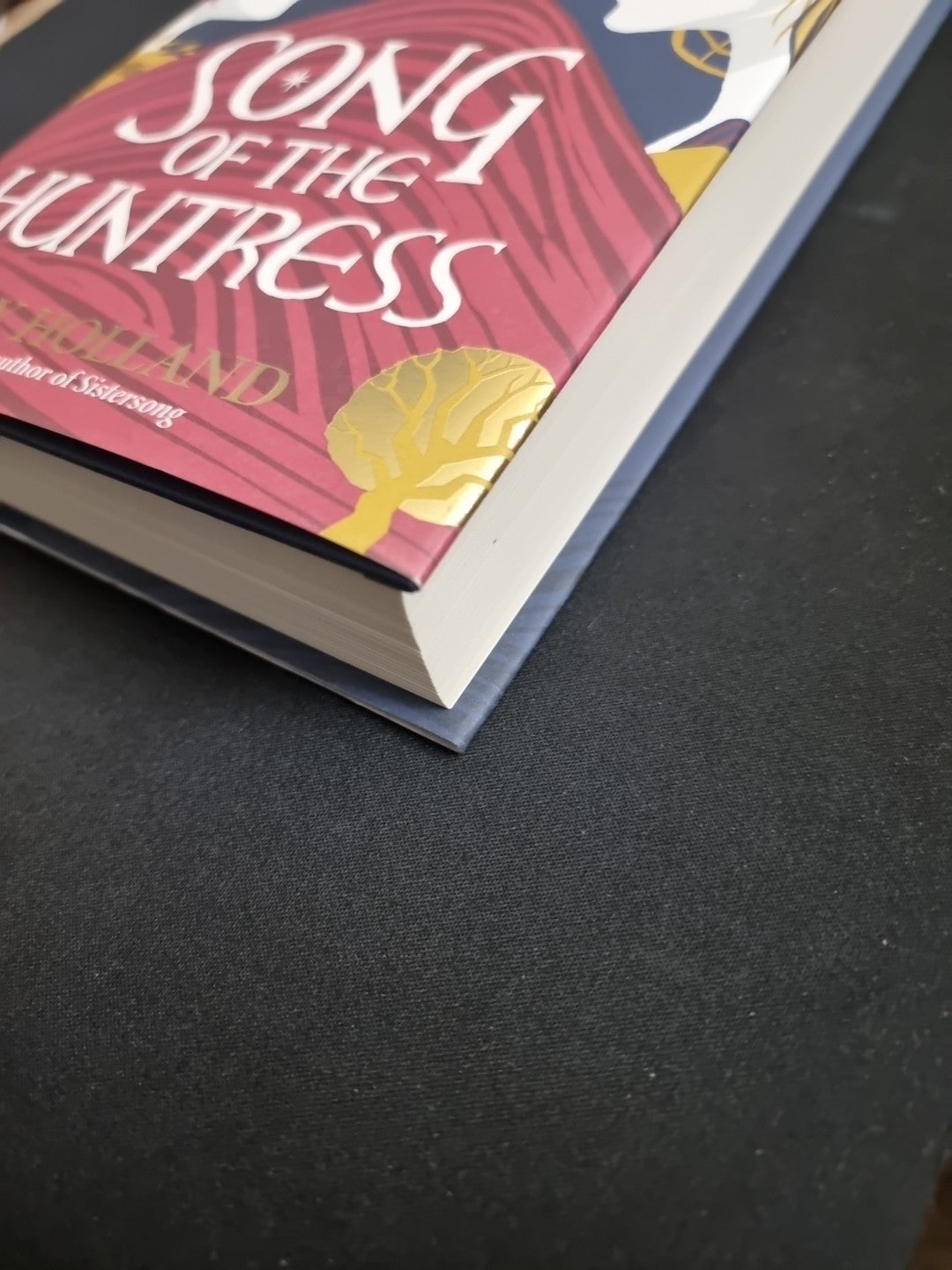 Song of the Huntress by Lucy Holland