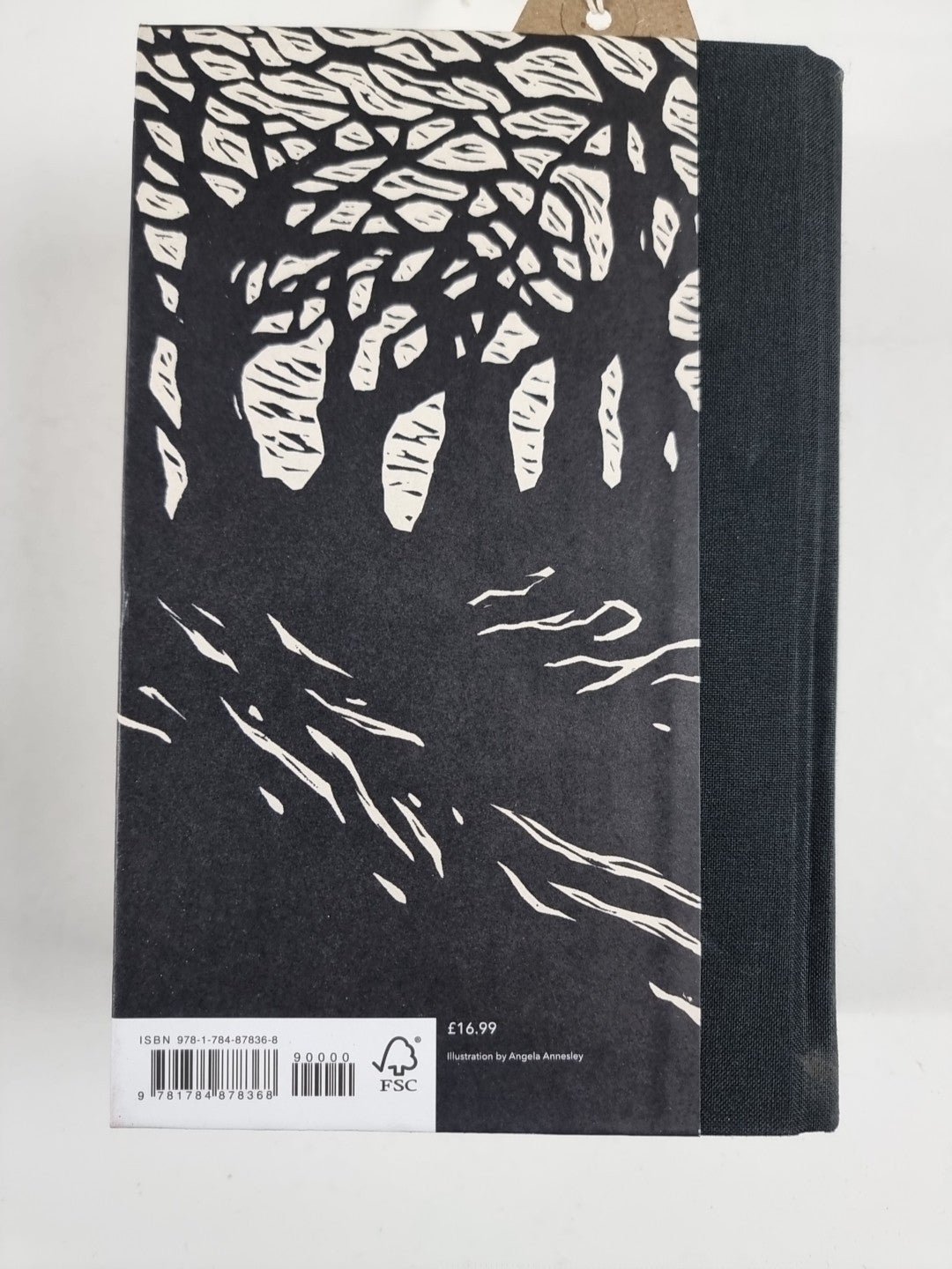 The Woman in Black and Other Ghost Stories