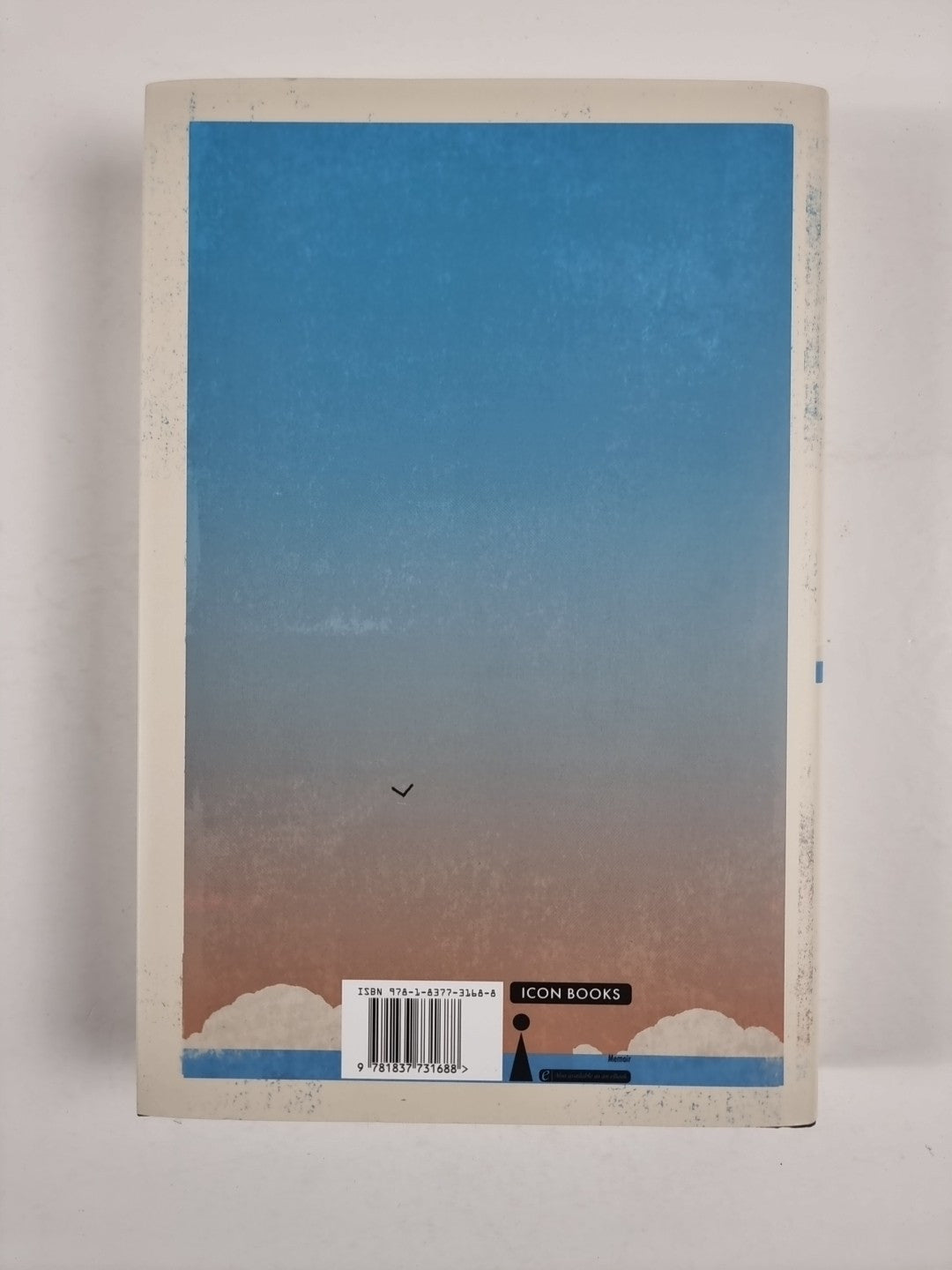 The Beacon Bike Edward Peppitt -