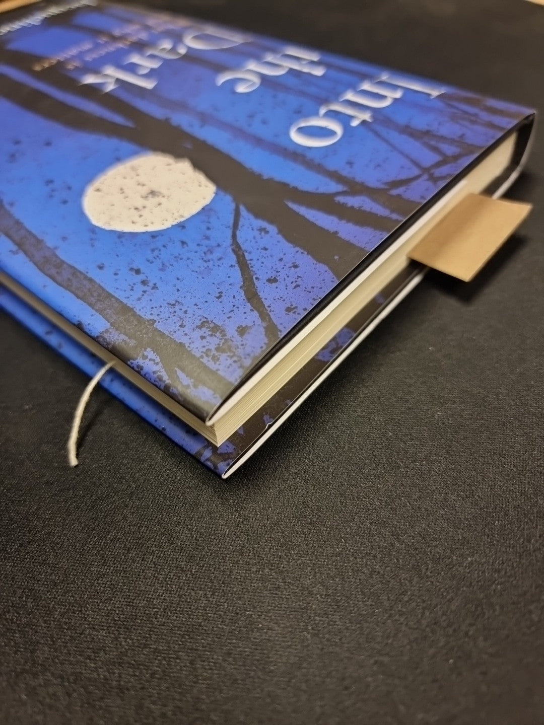 Into the Dark Jacqueline Yallop