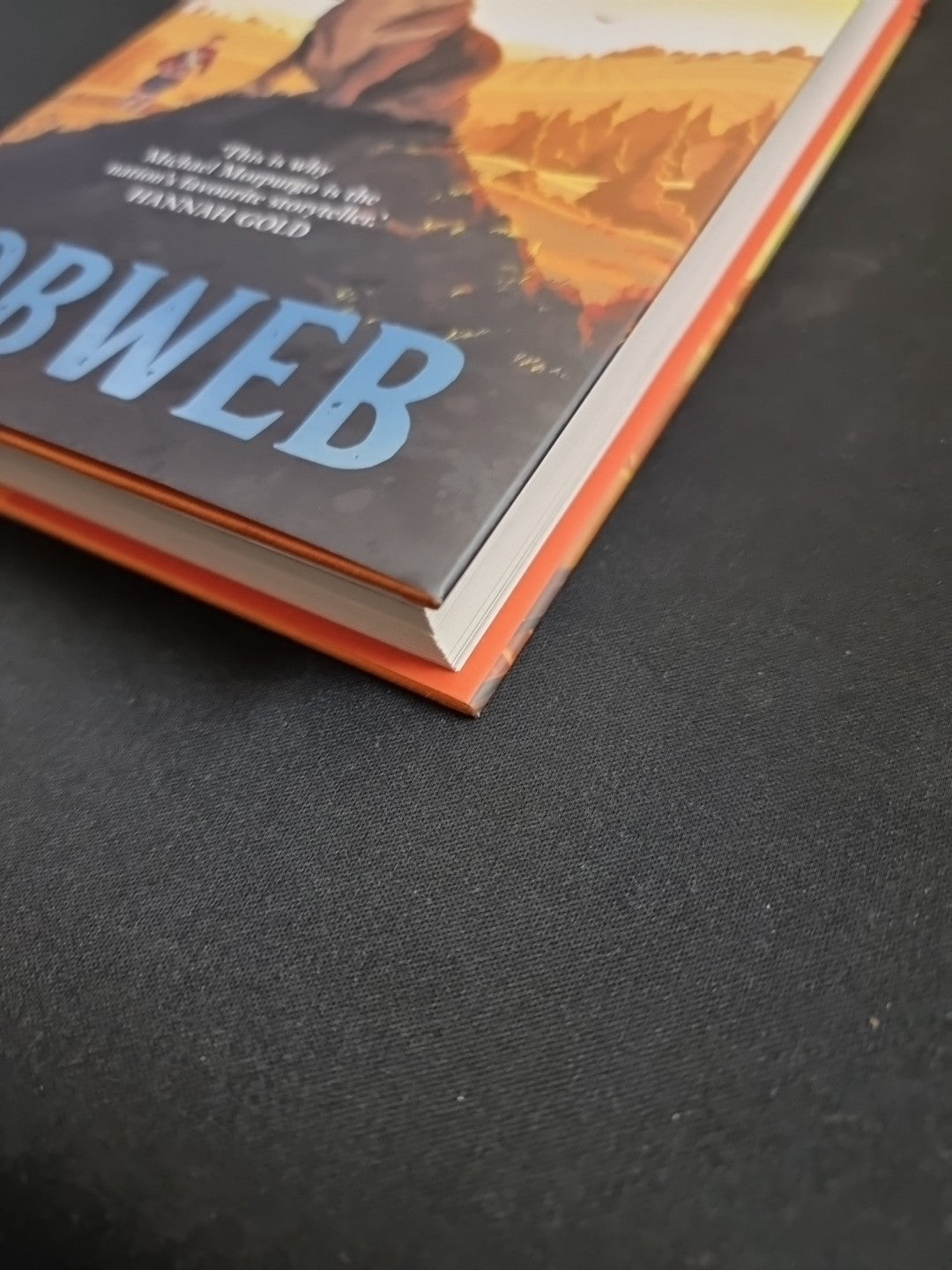 Morpurgo Untitled 2 by Michael Morpurgo (Hardcover, 2021)