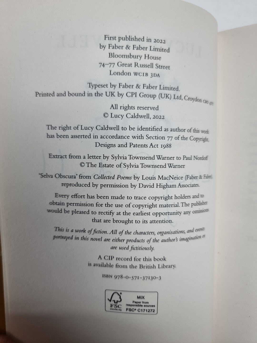 These Days: 'A gem of a novel, I ador Lucy Caldwell Hardback 1st Edition Signed