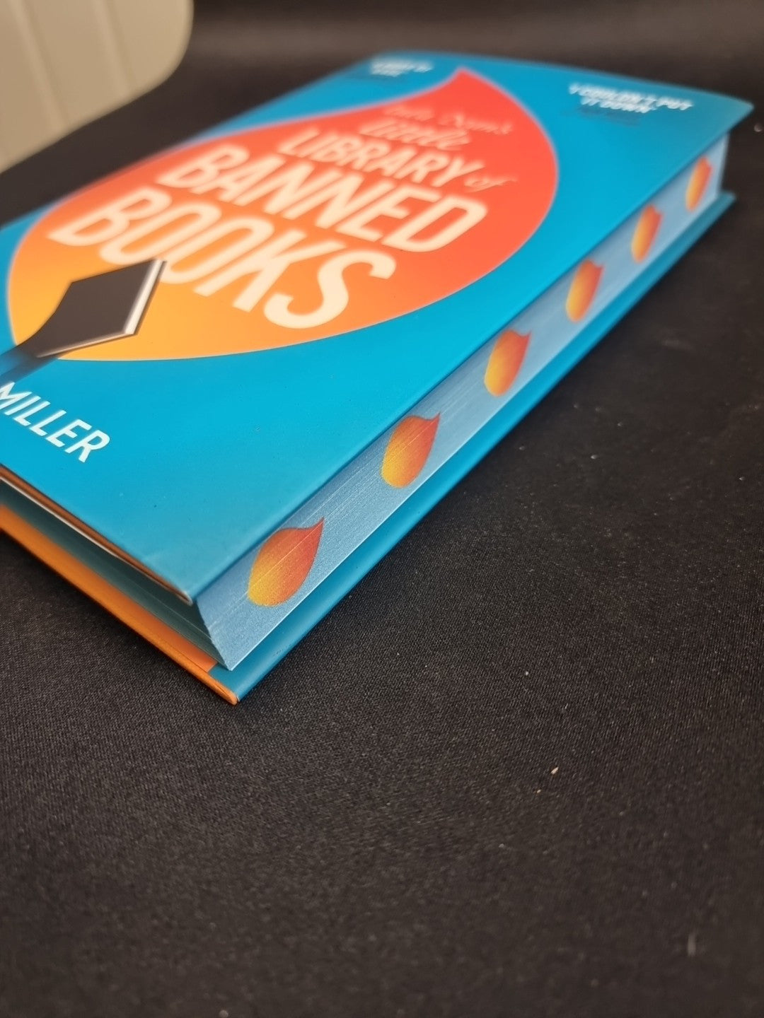 Lula Dean’s Little Library of Banned Books