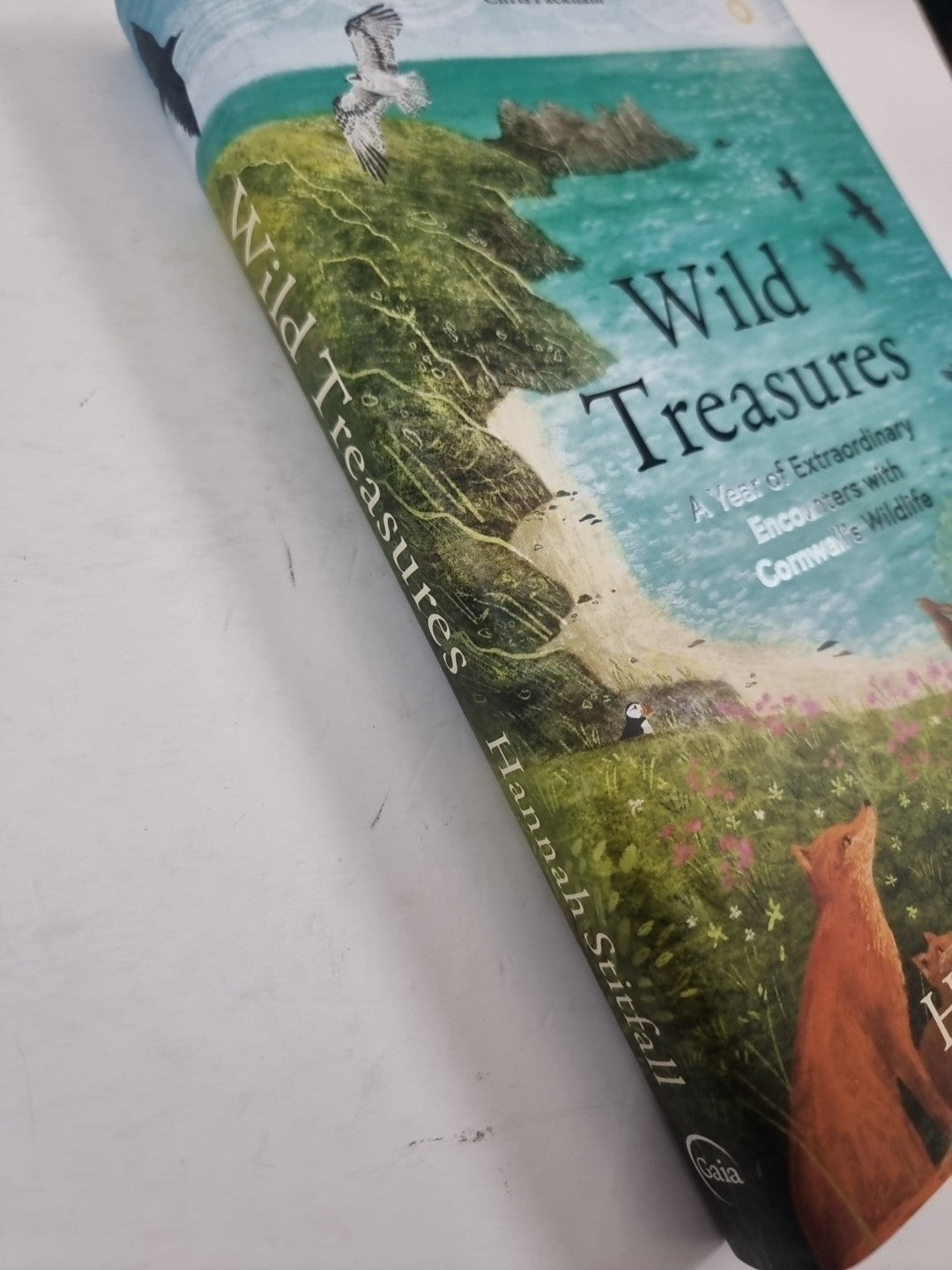Wild Treasures: A Year of Extraordinary Encounters