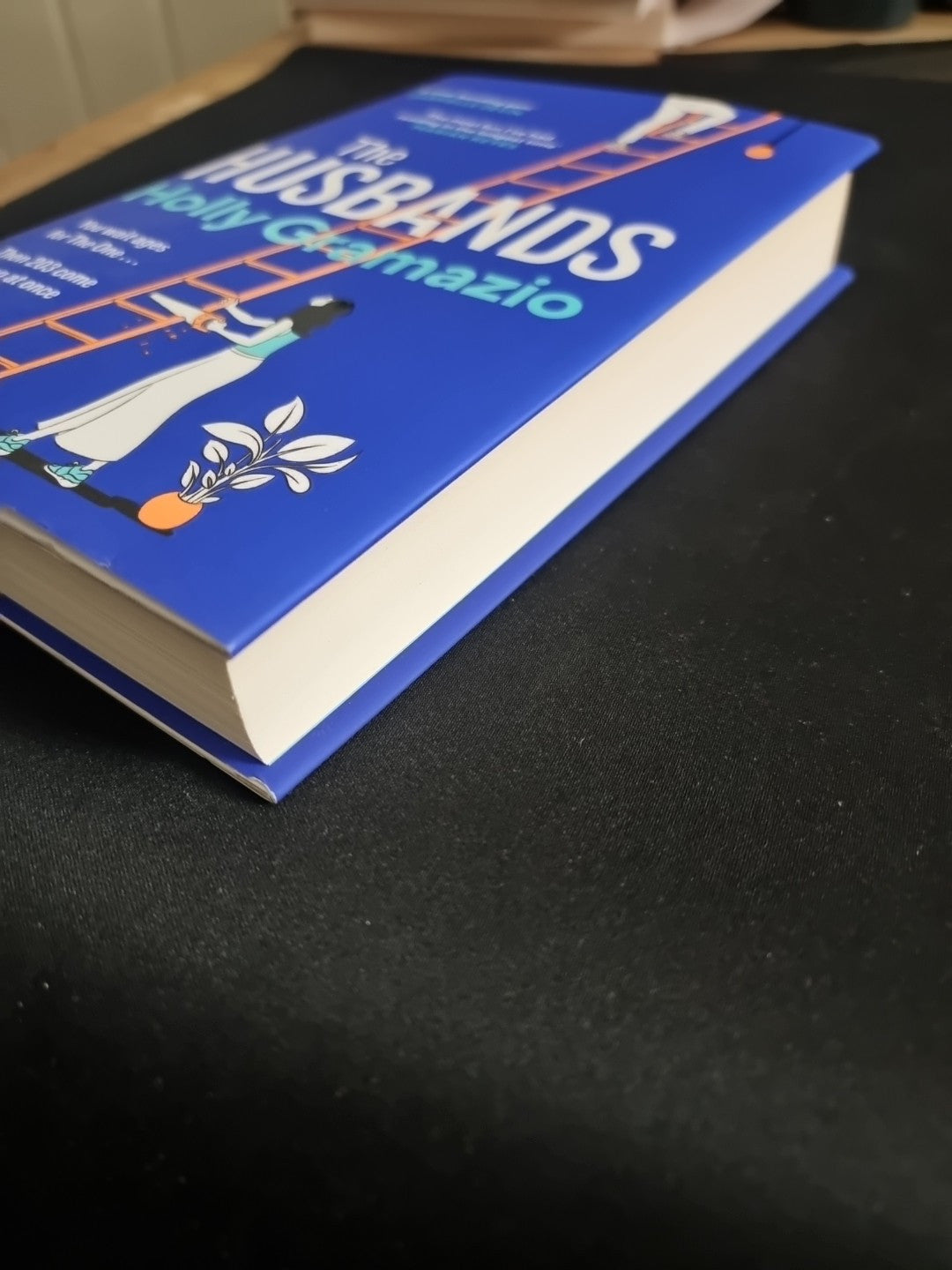 The Husbands Holly Gramazio