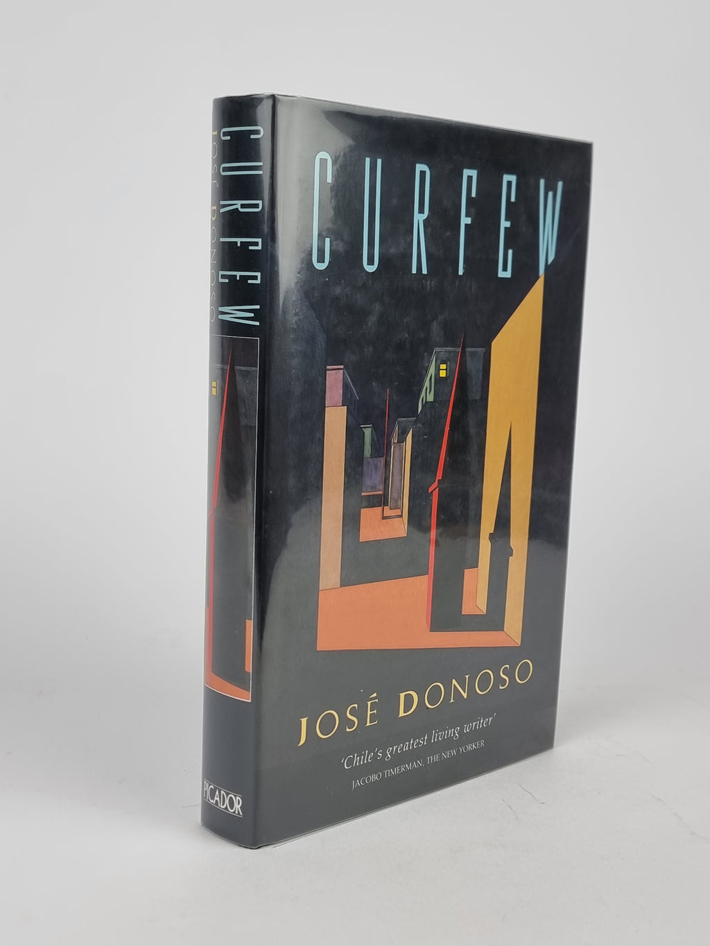 Curfew, José Donoso — 1st English Edition