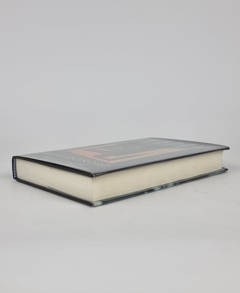 Curfew, José Donoso — 1st English Edition