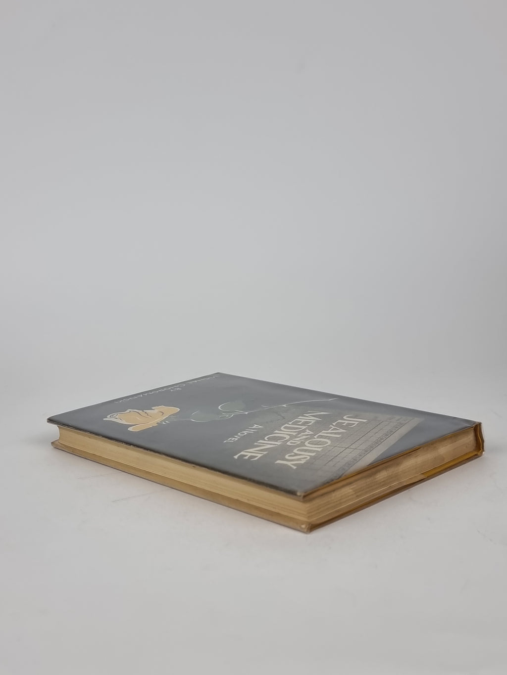 Jealousy And Medicine, Michael Choromanski — 1st Edition