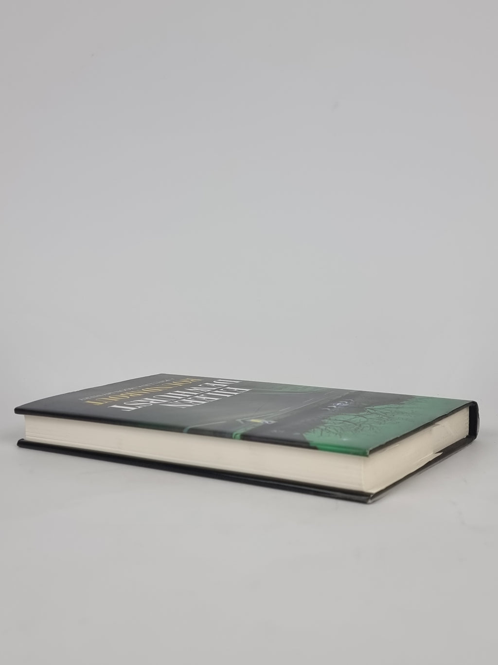 Roundabout, Eileen Dewhurst — 1st Edition