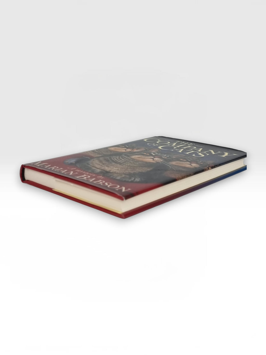 The Company of Cats, Marian Babson — 1st Edition