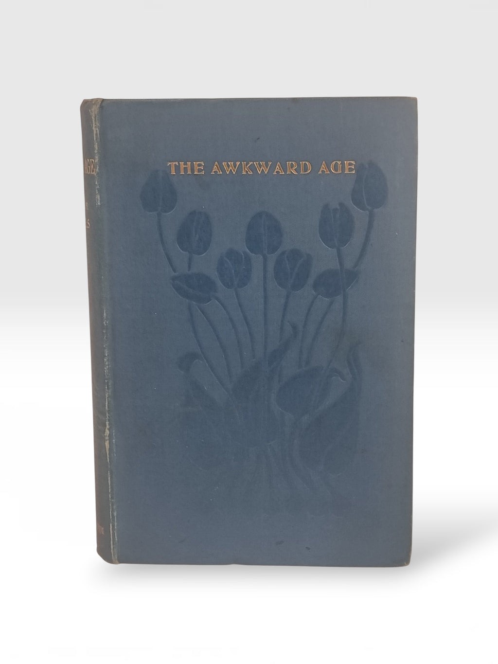 The Awkward Age, Henry James — 1st UK Edition