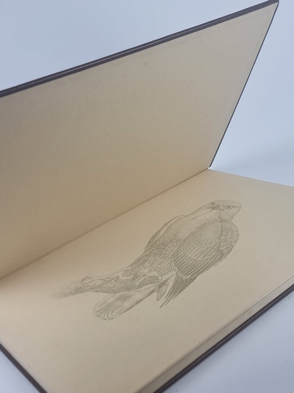 The Paintings of Norman Lighton for Roberts Birds of South Africa — 1st Limited Edition