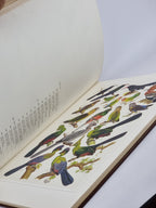 The Paintings of Norman Lighton for Roberts Birds of South Africa — 1st Limited Edition
