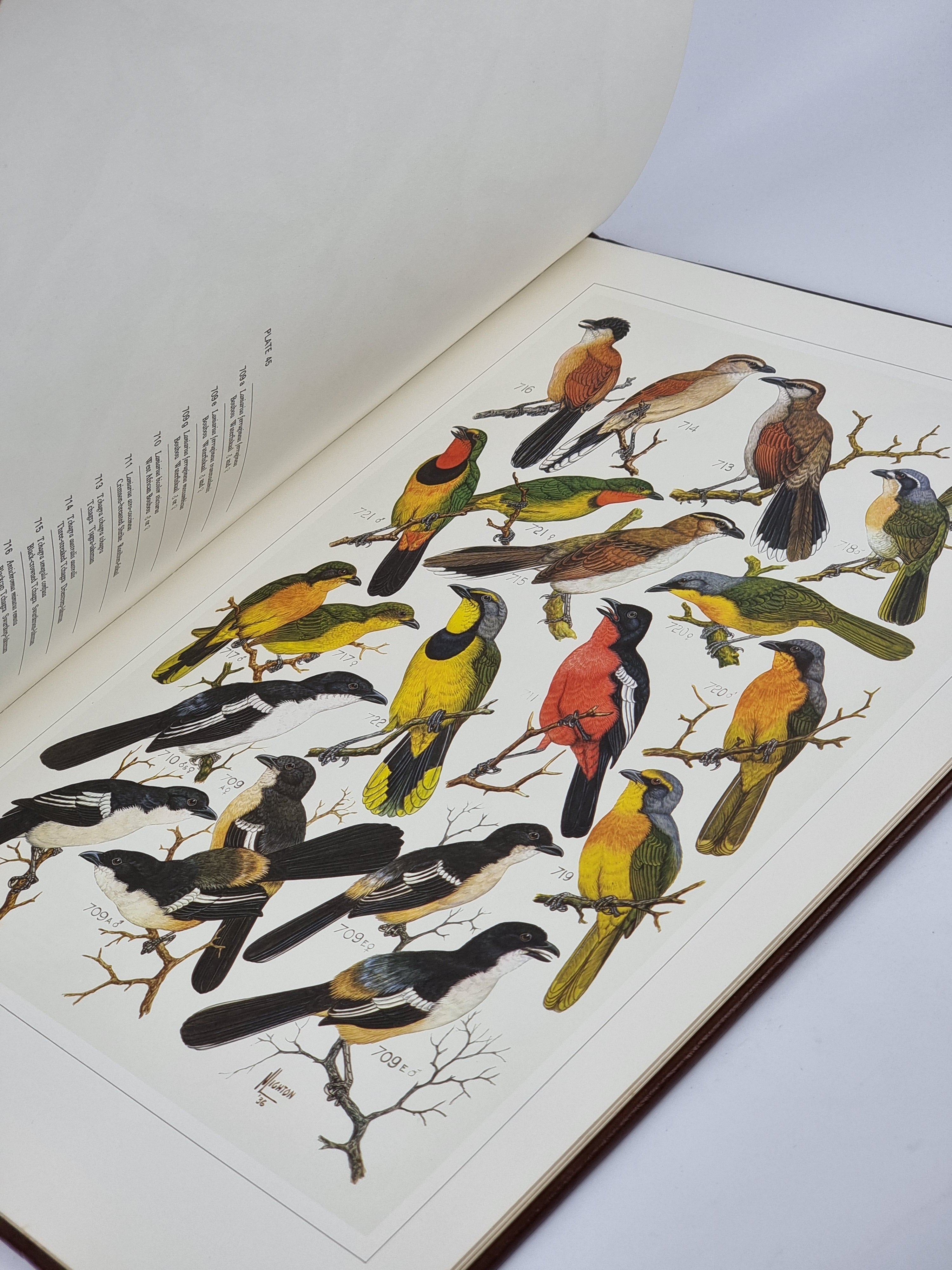 The Paintings of Norman Lighton for Roberts Birds of South Africa — 1st Limited Edition