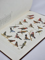 The Paintings of Norman Lighton for Roberts Birds of South Africa — 1st Limited Edition