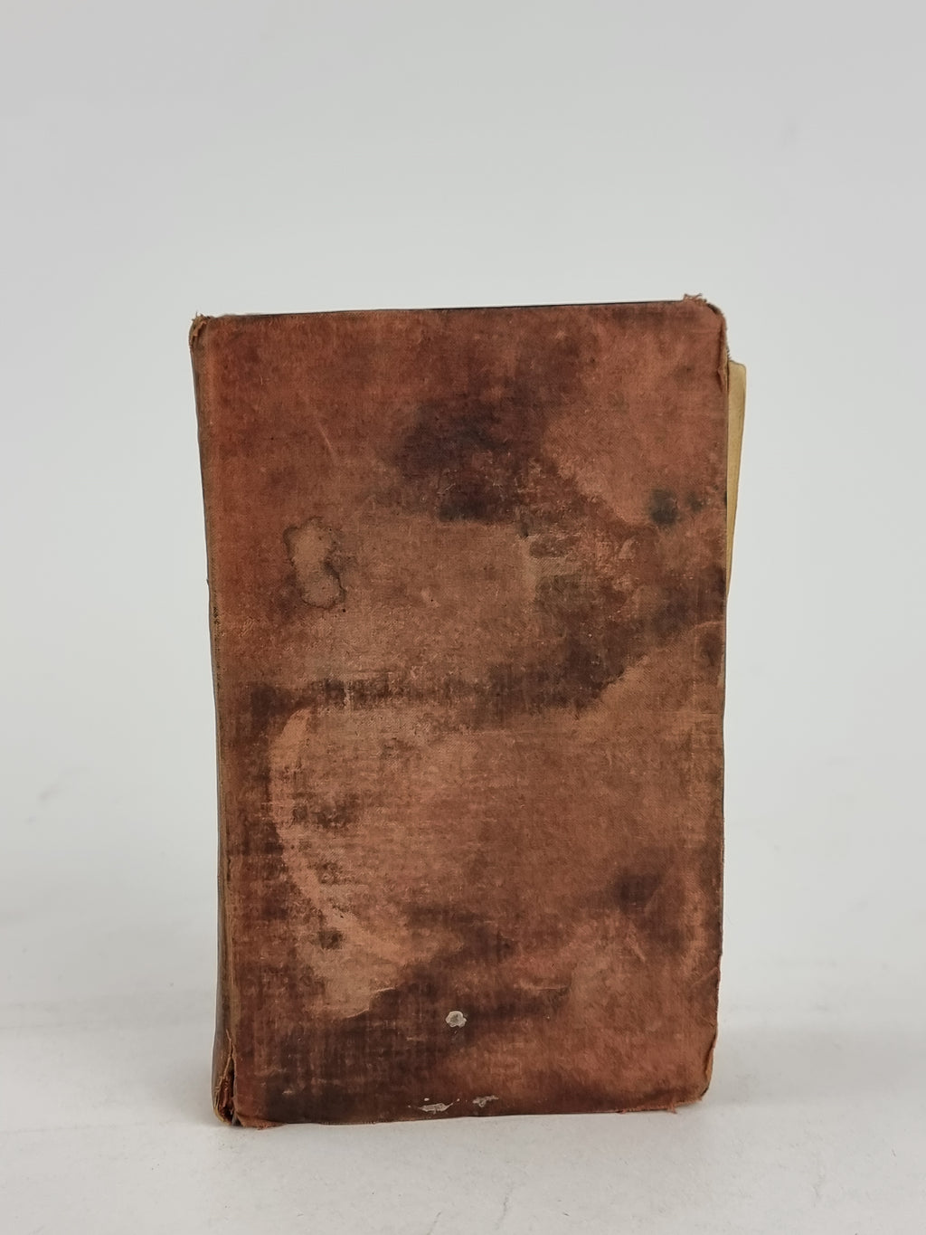Don Juan, Lord Byron — Pirated Edition