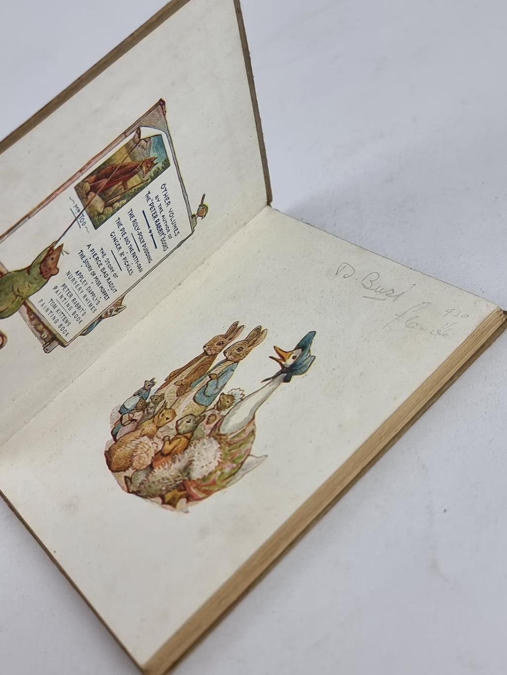 The Story of a Fierce Bad Rabbit, Beatrix Potter — Early Reprint