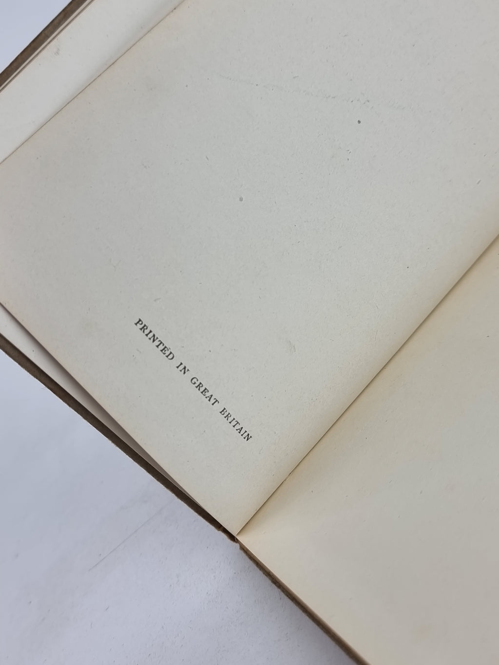The Story of a Fierce Bad Rabbit, Beatrix Potter — Early Reprint