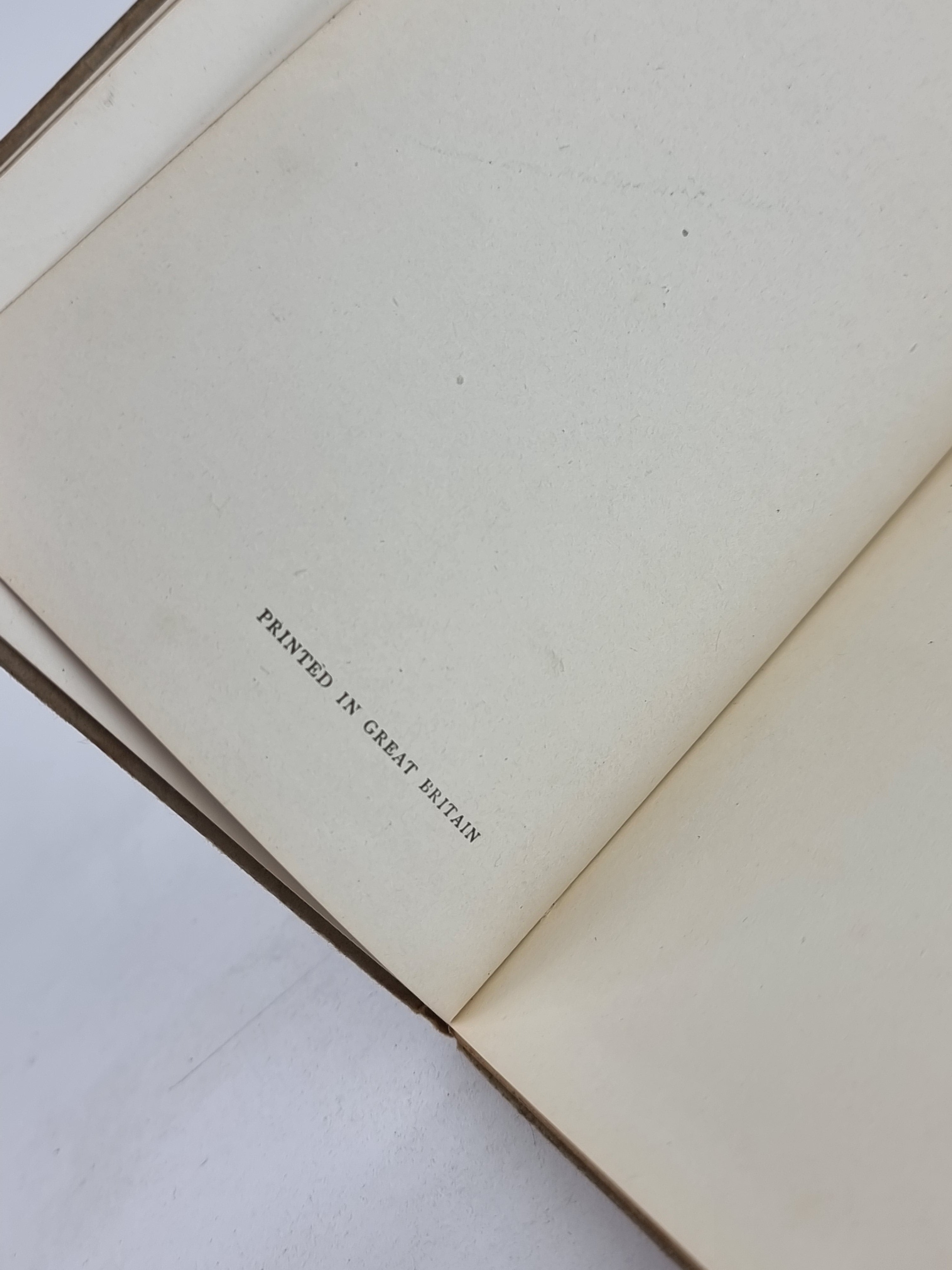 The Story of a Fierce Bad Rabbit, Beatrix Potter — Early Reprint