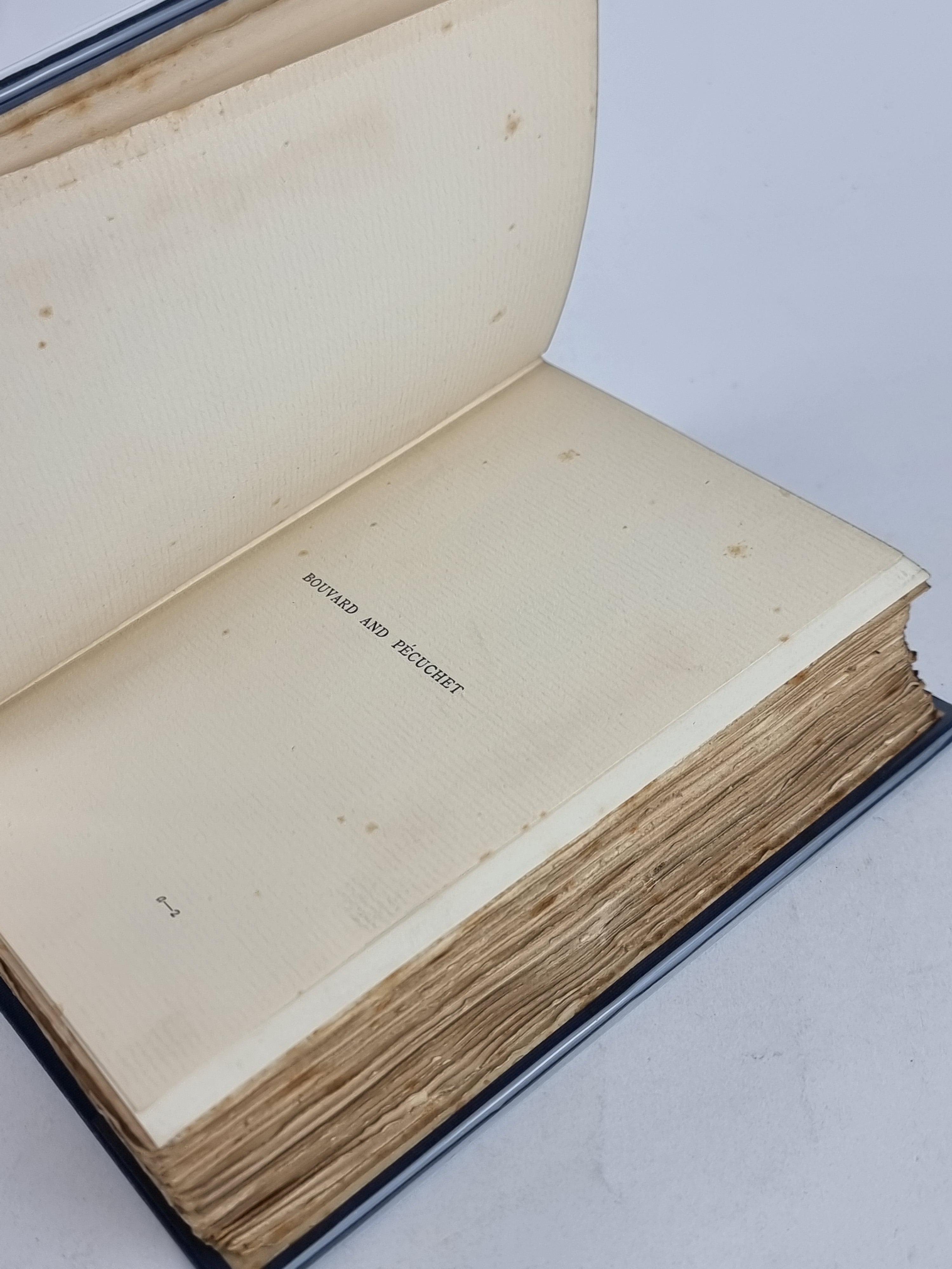 Bouvard and Pécuchet, Gustave Flaubert — 1st English Edition
