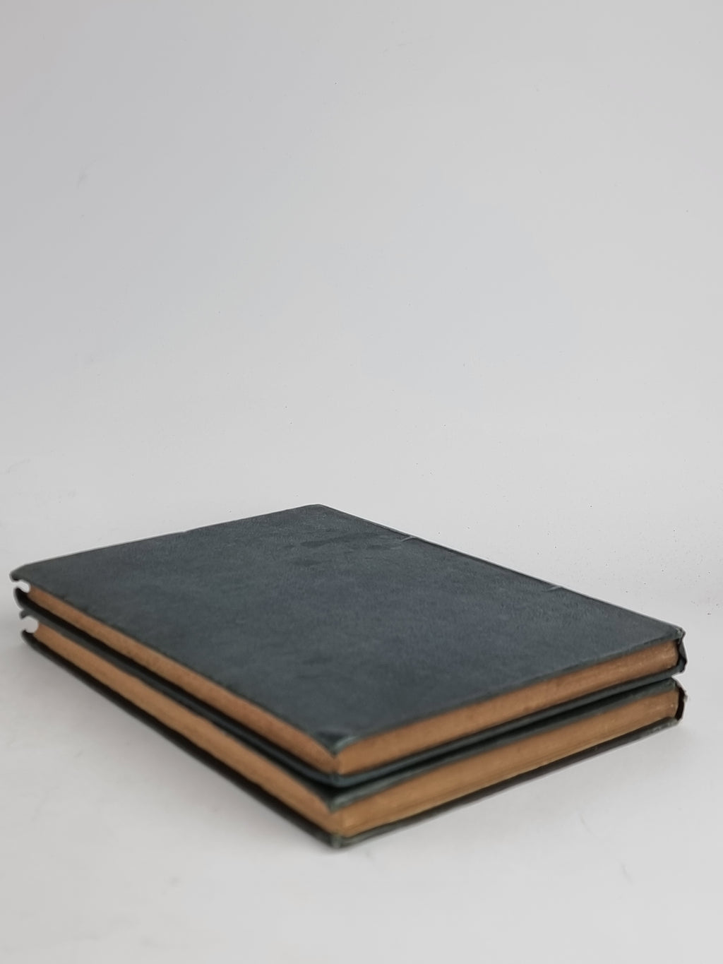 Local Gleanings Relating to Lancashire and Cheshire (Vols. I & II), J. P. Earwaker