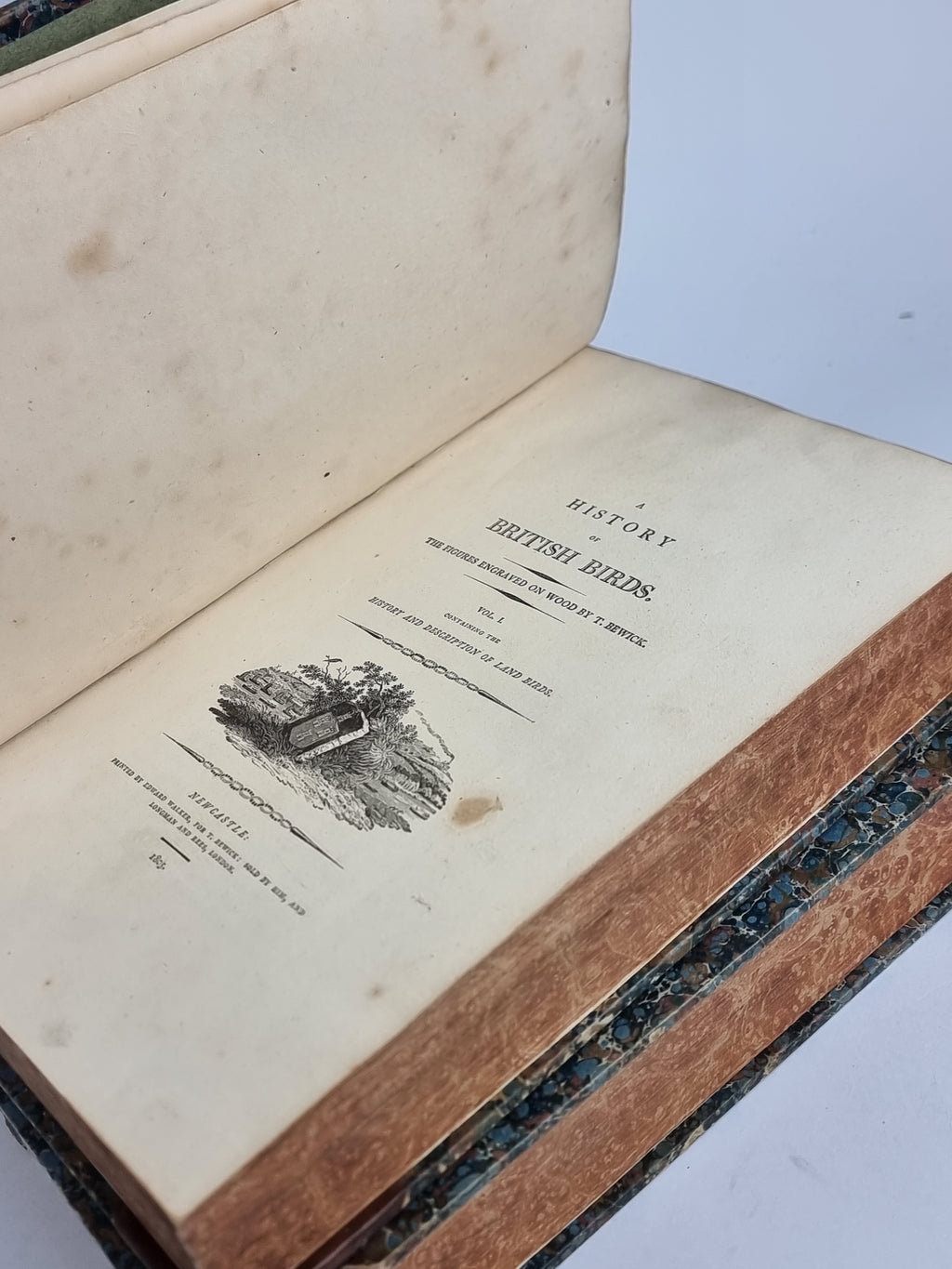 A History of British Birds, Thomas Bewick — 1805 Imperial Octavo Edition