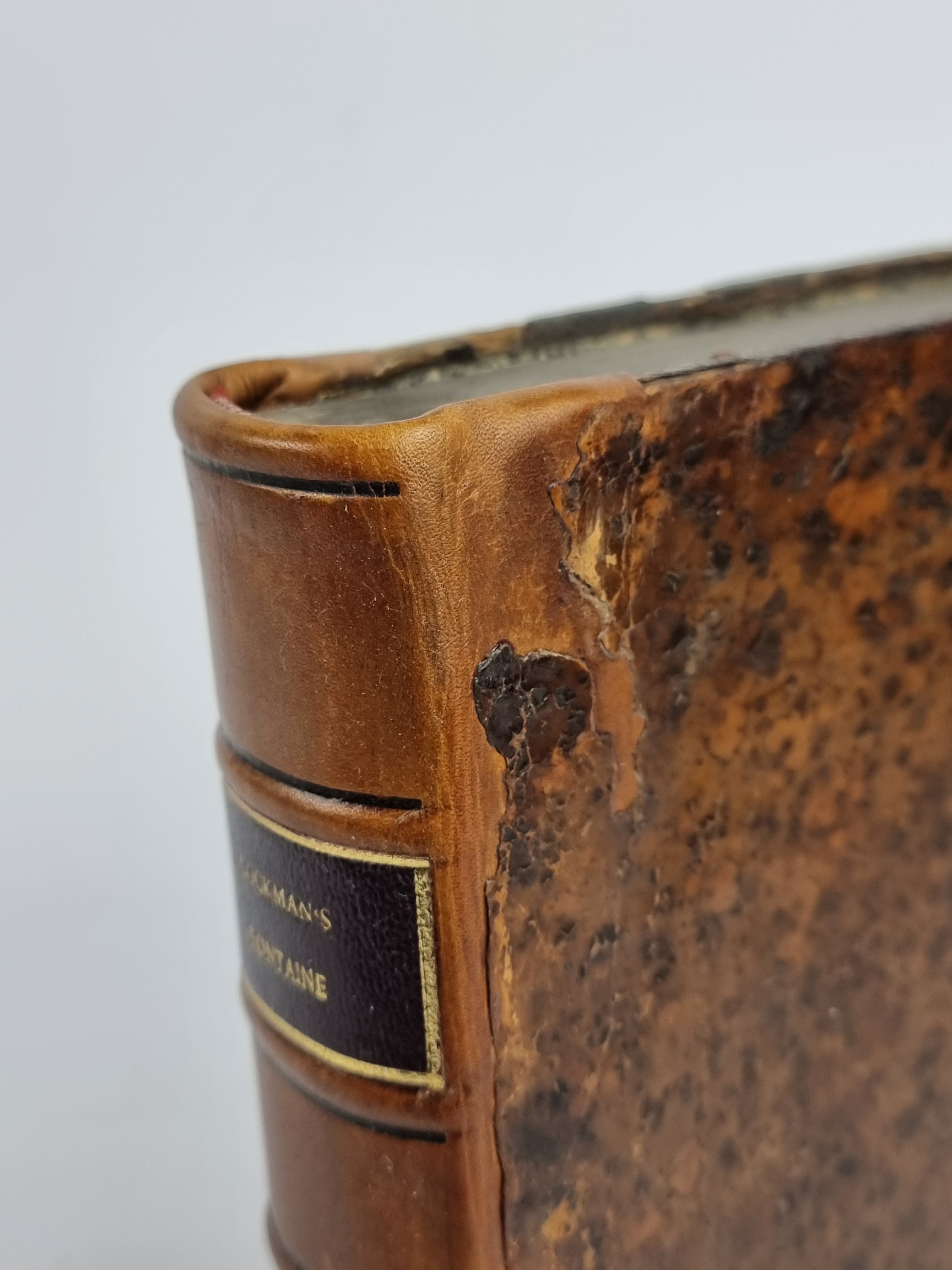 The Loves of Cupid and Psyche; in Verse and Prose, Jean de La Fontaine