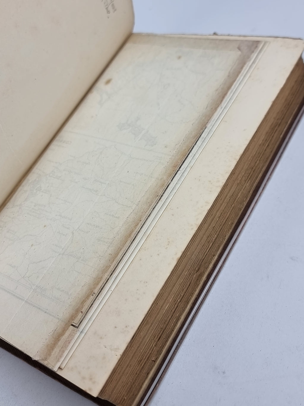 Algeria: The Topography and History, Political, Social, and Natural... John Reynell Morell — 1st Ed.