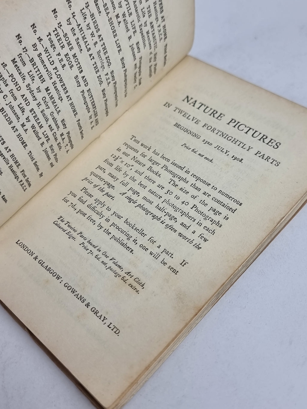Our Trees and How to Know Them, Charles Kirk — Early Edition