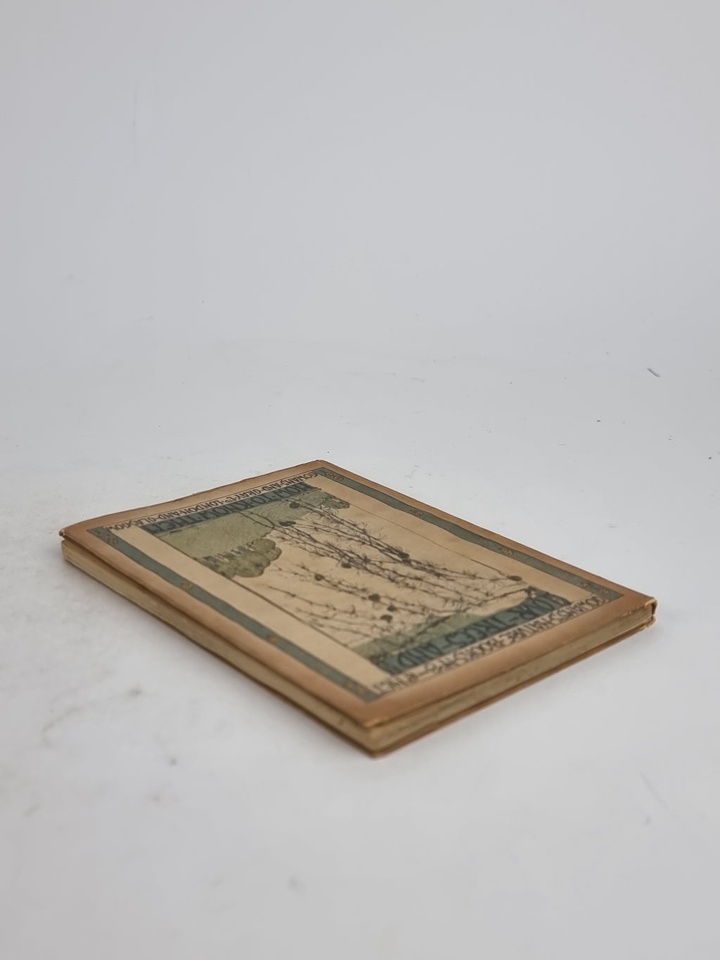 Our Trees and How to Know Them, Charles Kirk — Early Edition
