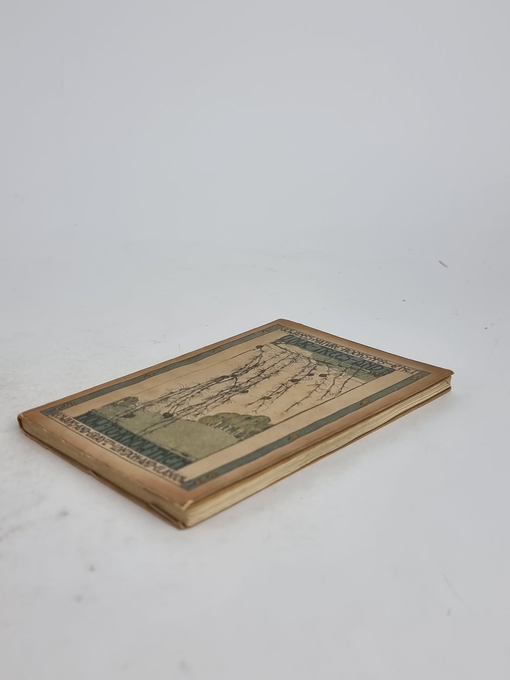 Our Trees and How to Know Them, Charles Kirk — Early Edition