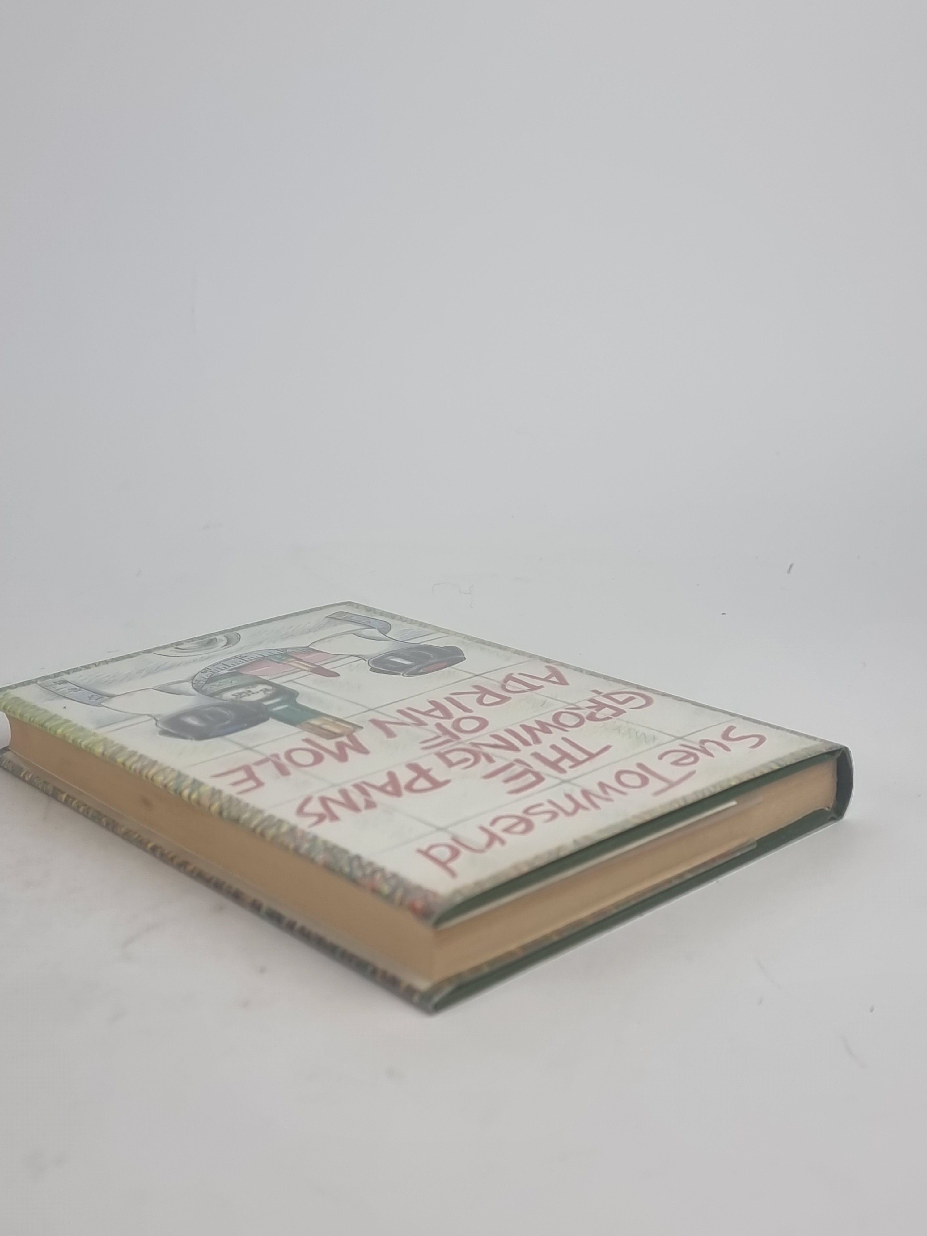 The Growing Pains of Adrian Mole, Sue Townsend — 1st Edition