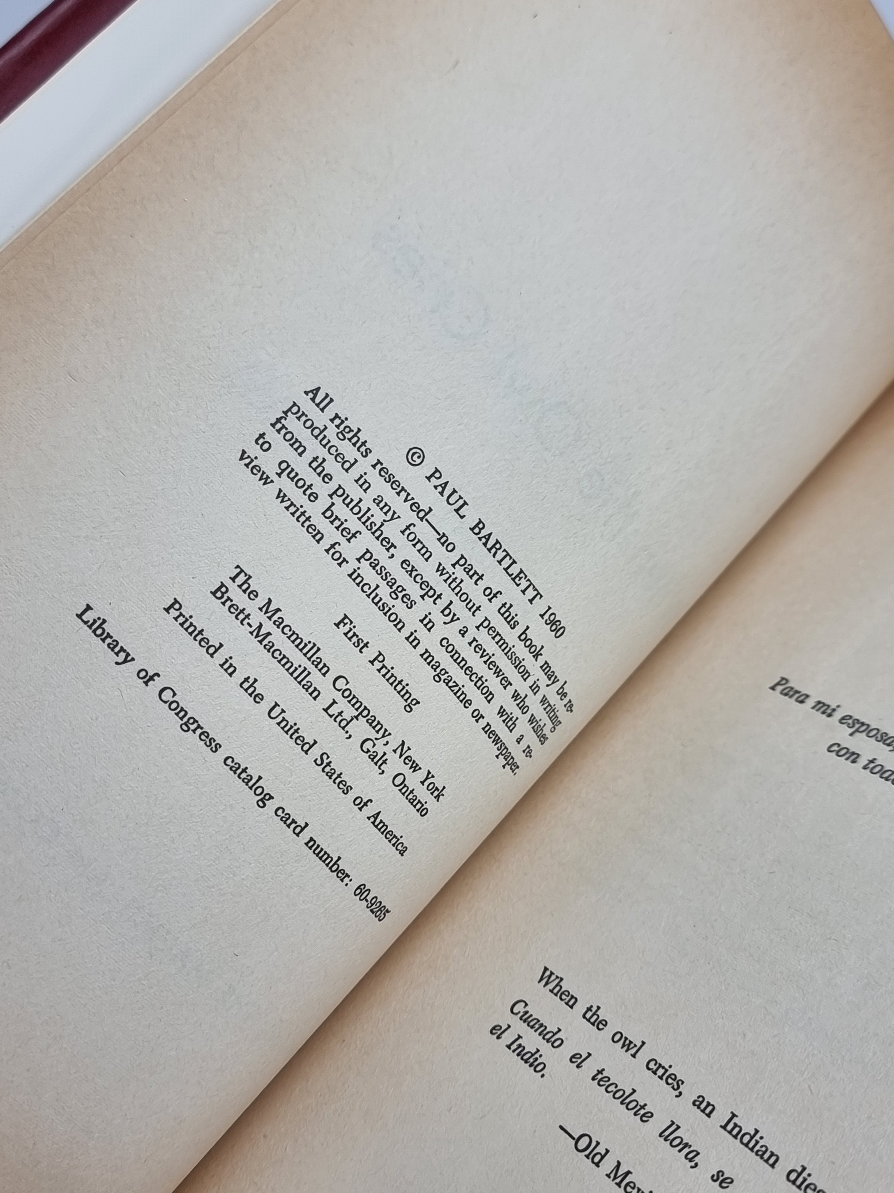 When the Owl Cries, Paul Bartlett — 1st Edition