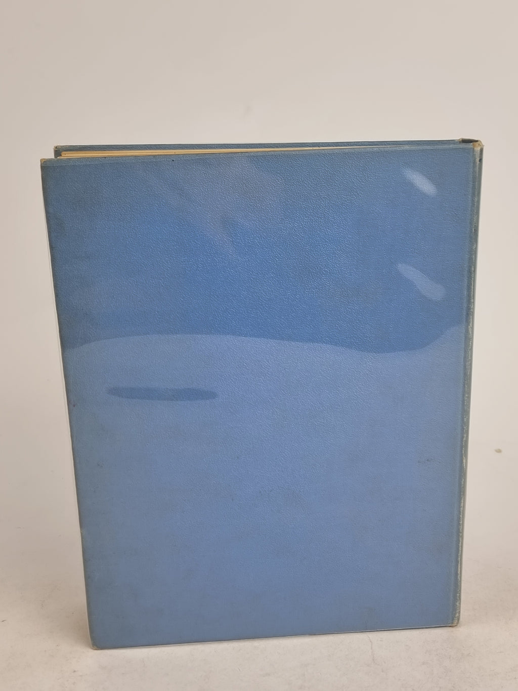 Joan in Flowerland, Margaret W. Tarrant & Lewis Dutton — 1st Edition