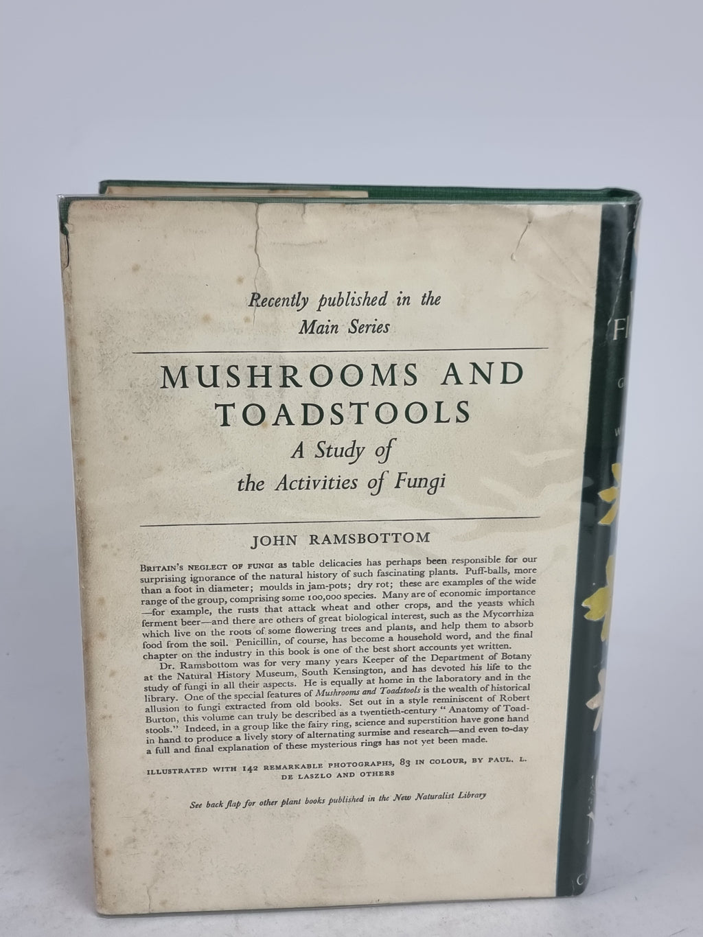 Wild Flowers, John Gilmour and Max Walters — 1st Edition