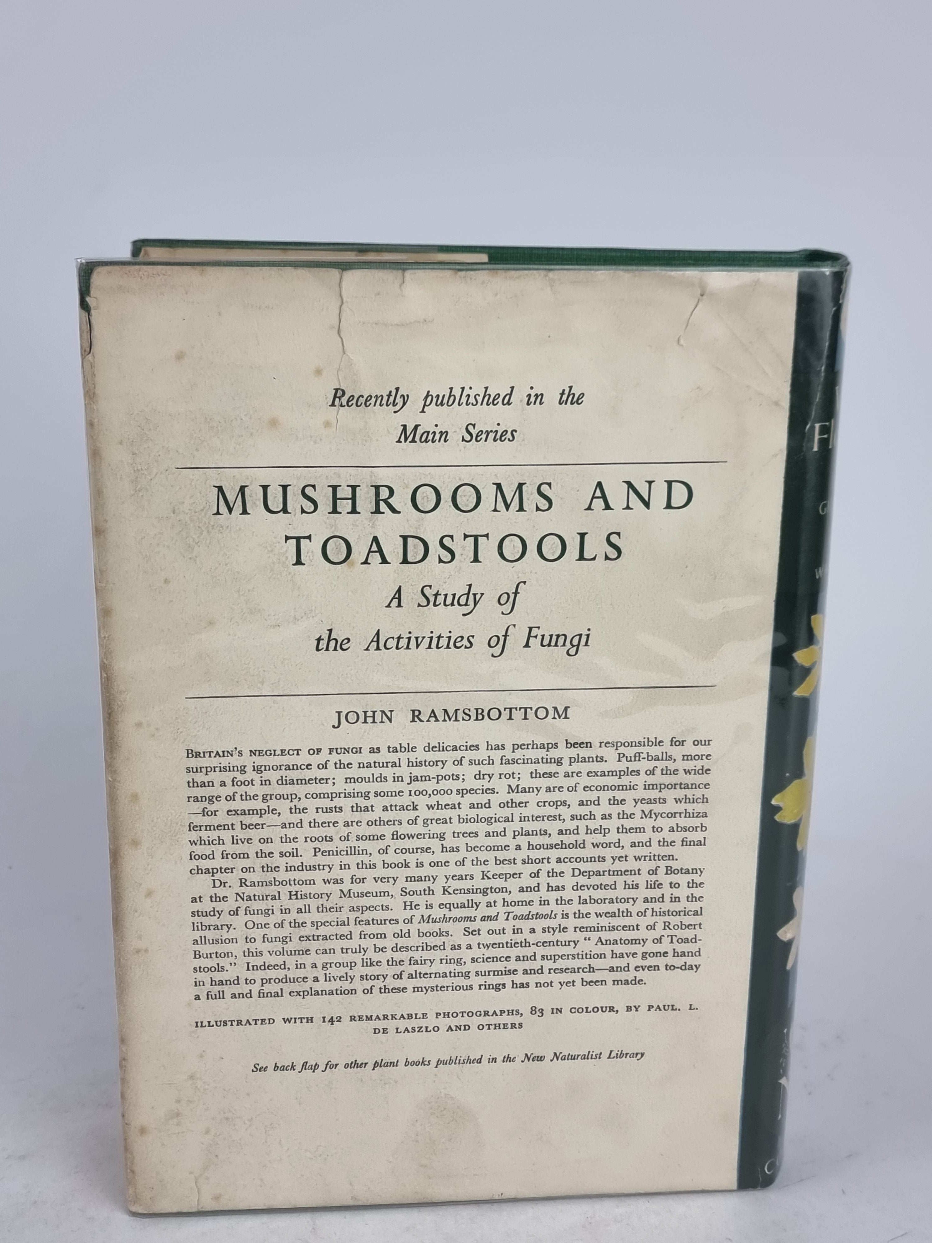 Wild Flowers, John Gilmour and Max Walters — 1st Edition