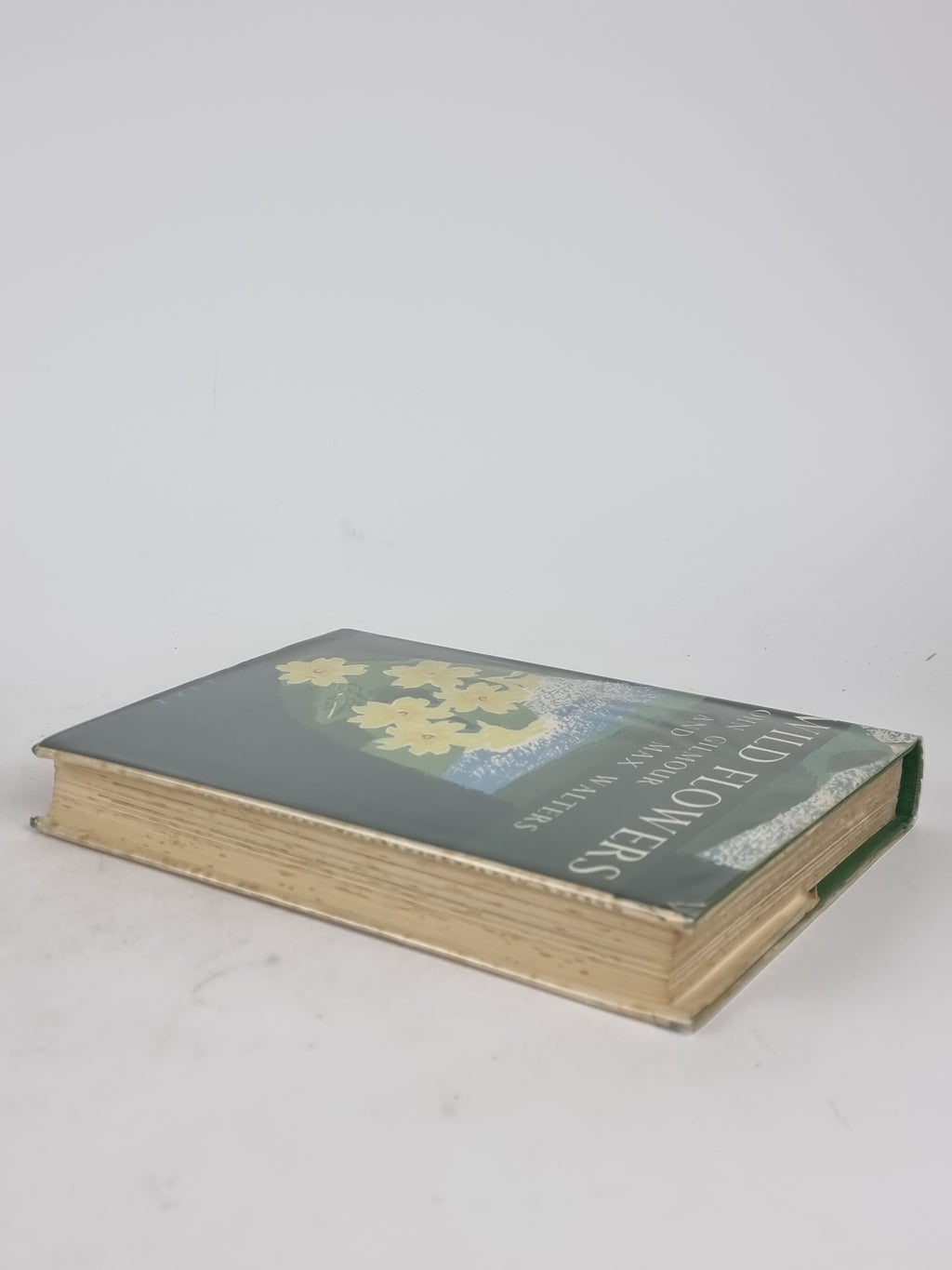 Wild Flowers, John Gilmour and Max Walters — 1st Edition