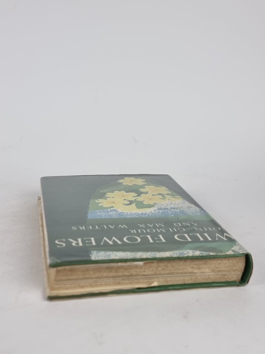 Wild Flowers, John Gilmour and Max Walters — 1st Edition