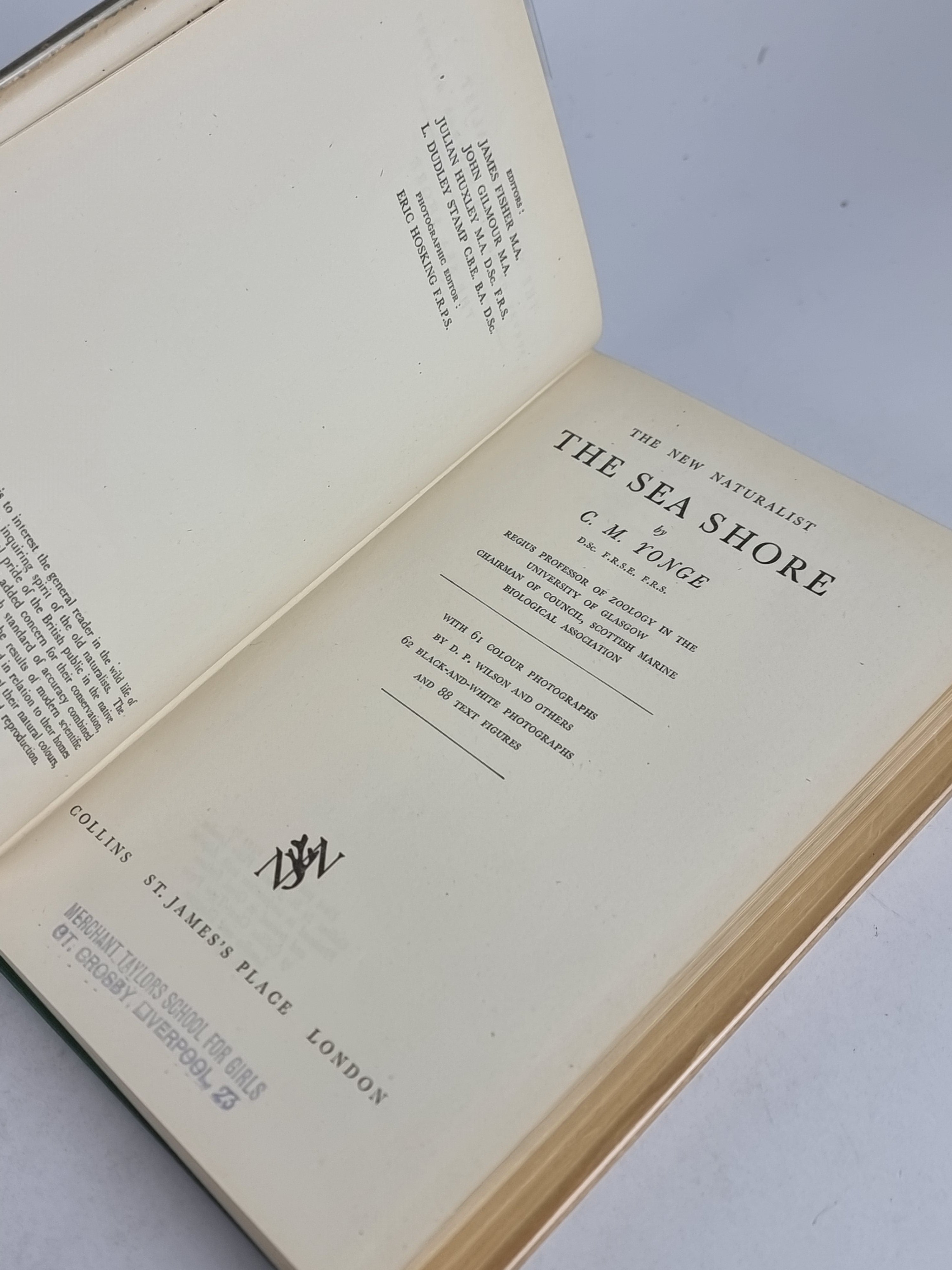 The Sea Shore, C. M. Yonge — 1st Edition