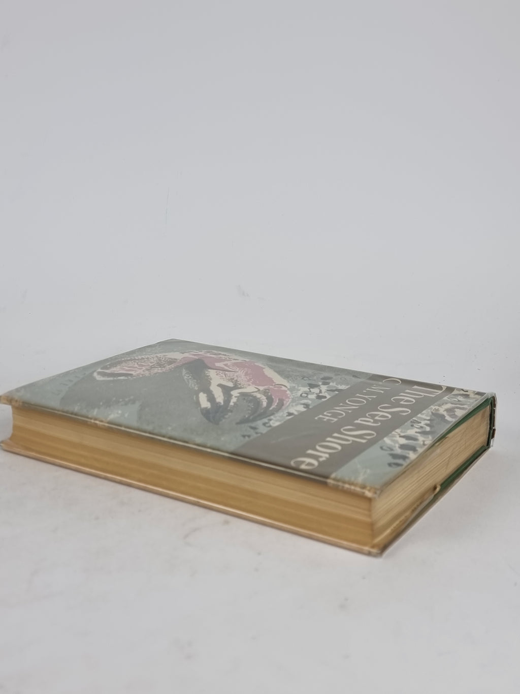 The Sea Shore, C. M. Yonge — 1st Edition