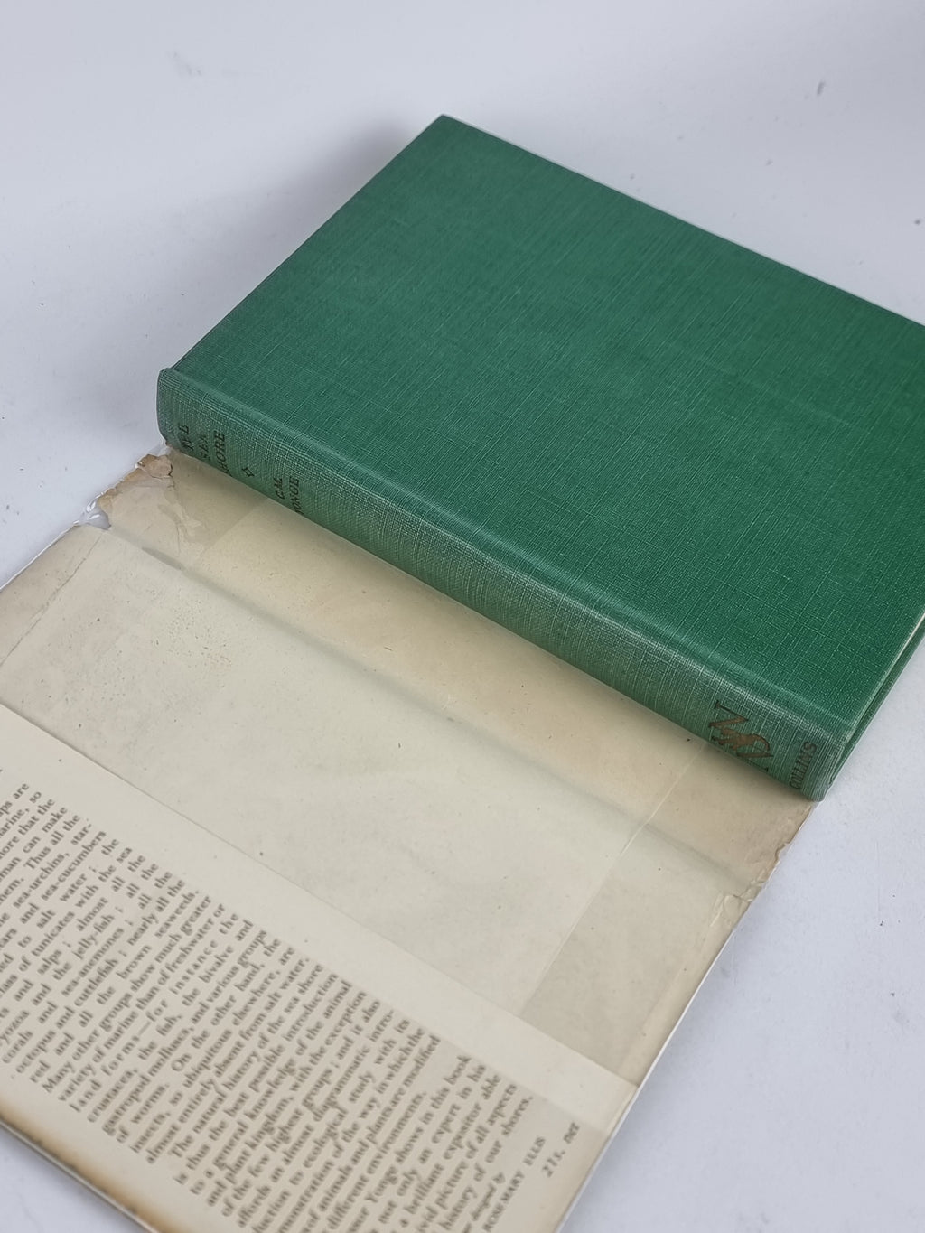 The Sea Shore, C. M. Yonge — 1st Edition
