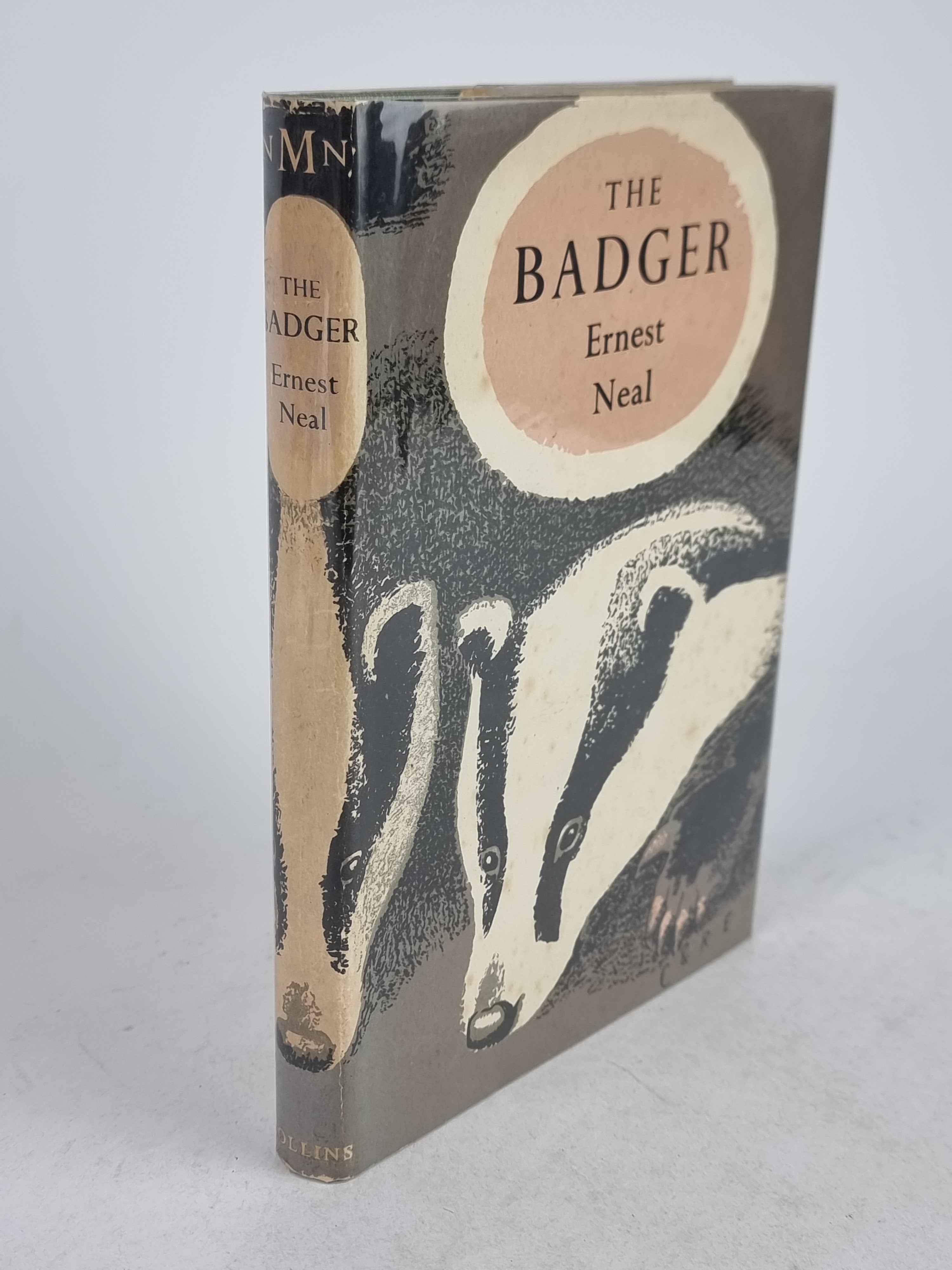 The Badger, Ernest Neal — 1st Edition