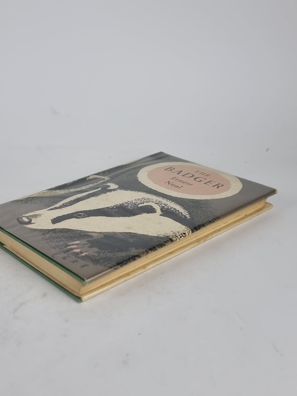 The Badger, Ernest Neal — 1st Edition