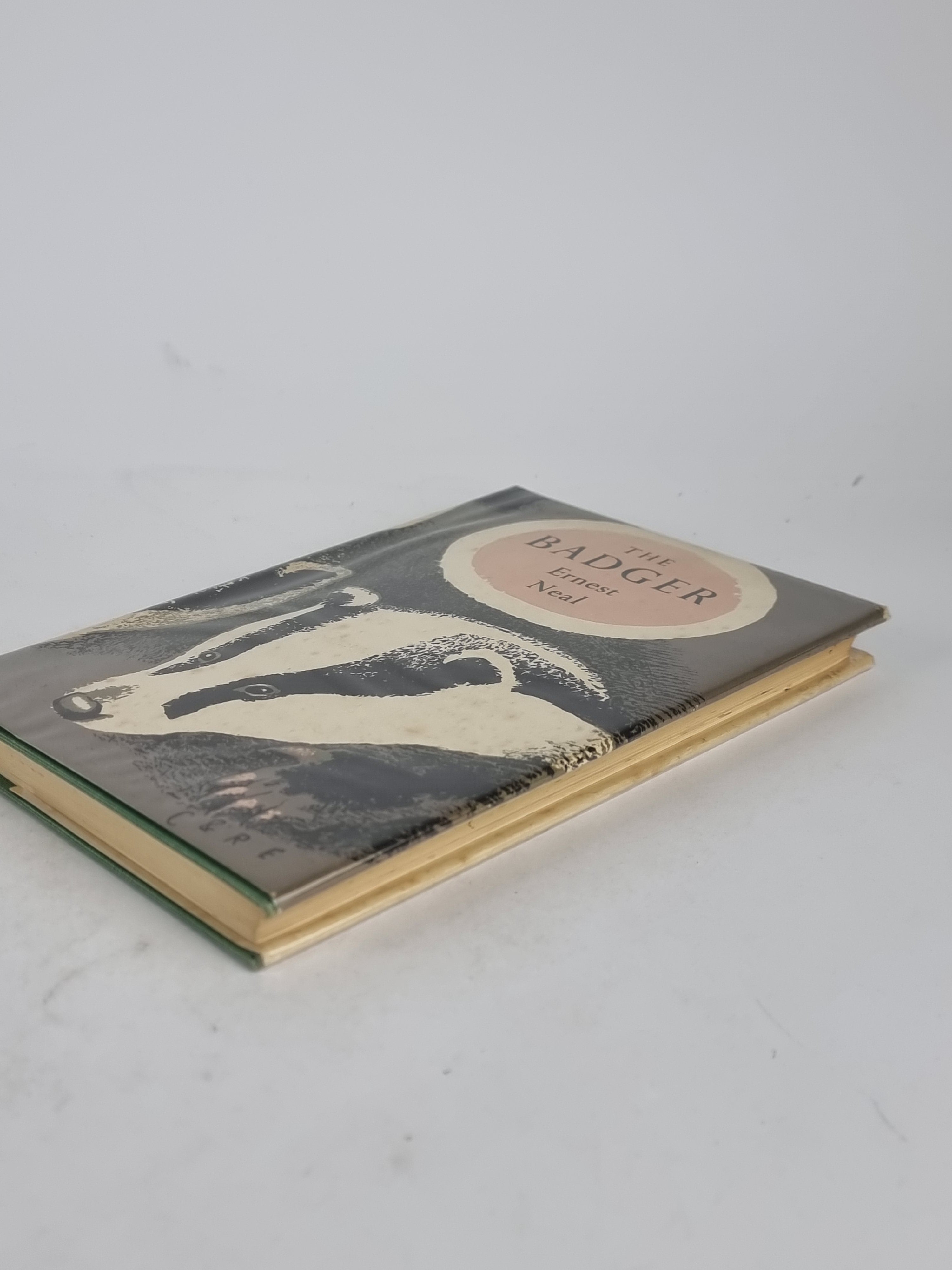The Badger, Ernest Neal — 1st Edition